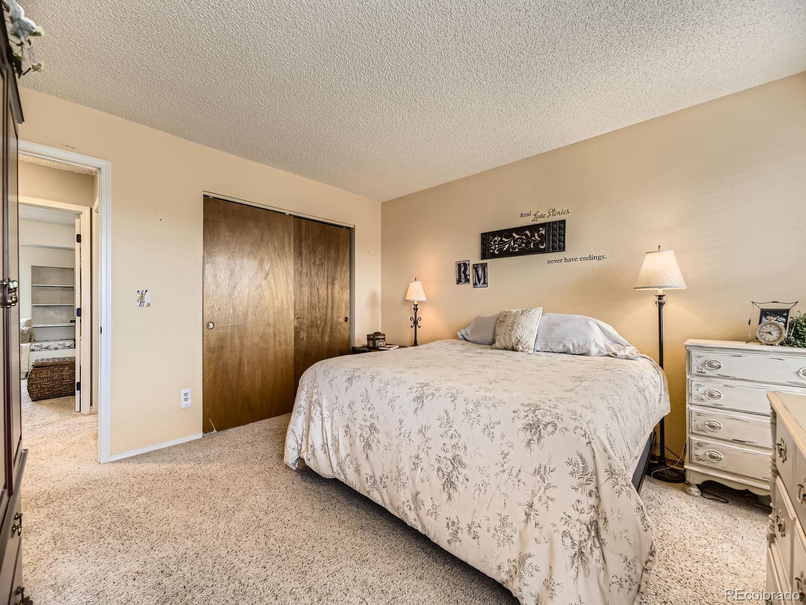 MLS Image #12 for 285 n holcomb street,castle rock, Colorado