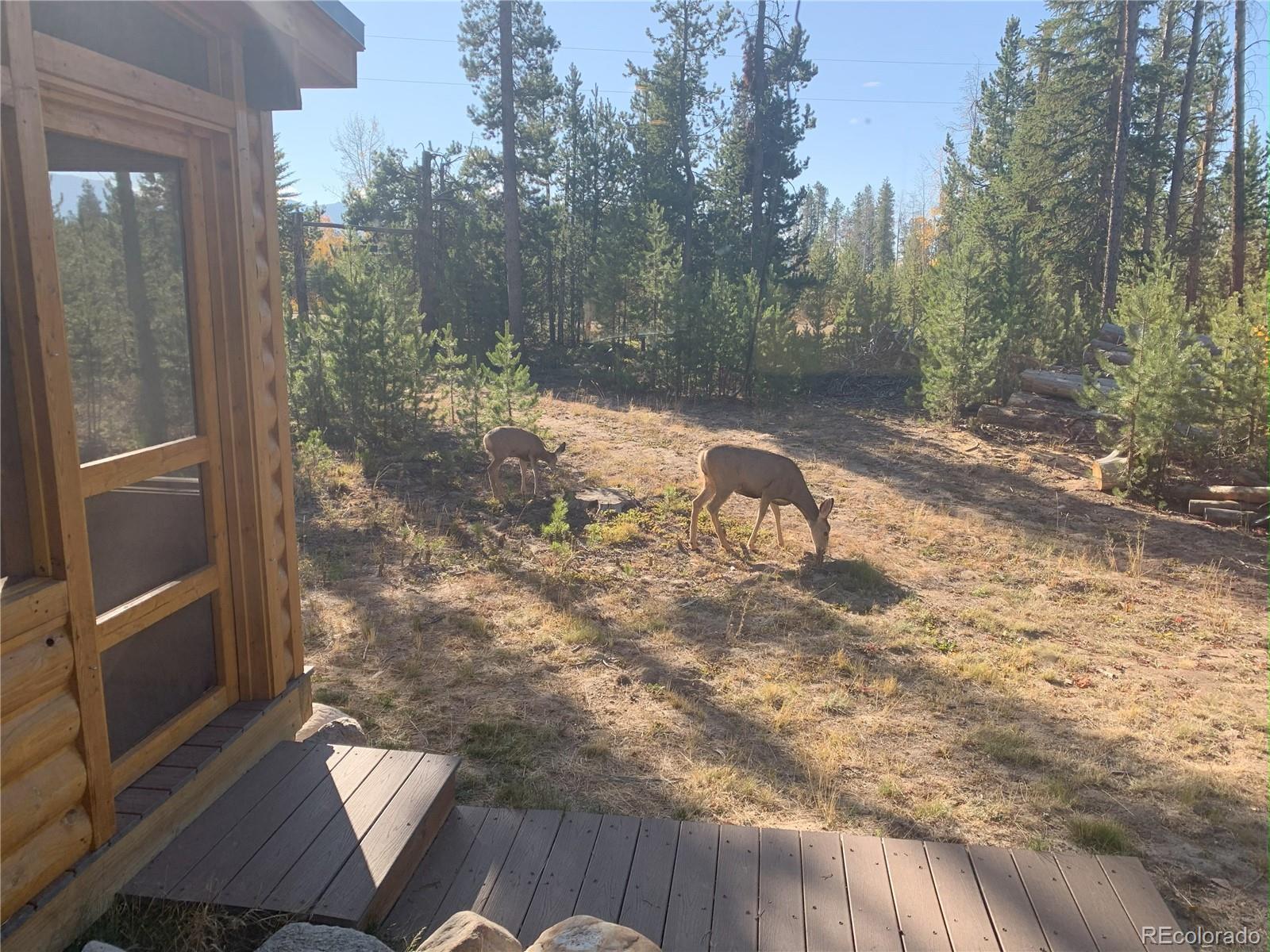 MLS Image #16 for 99  gcr 490 ,grand lake, Colorado
