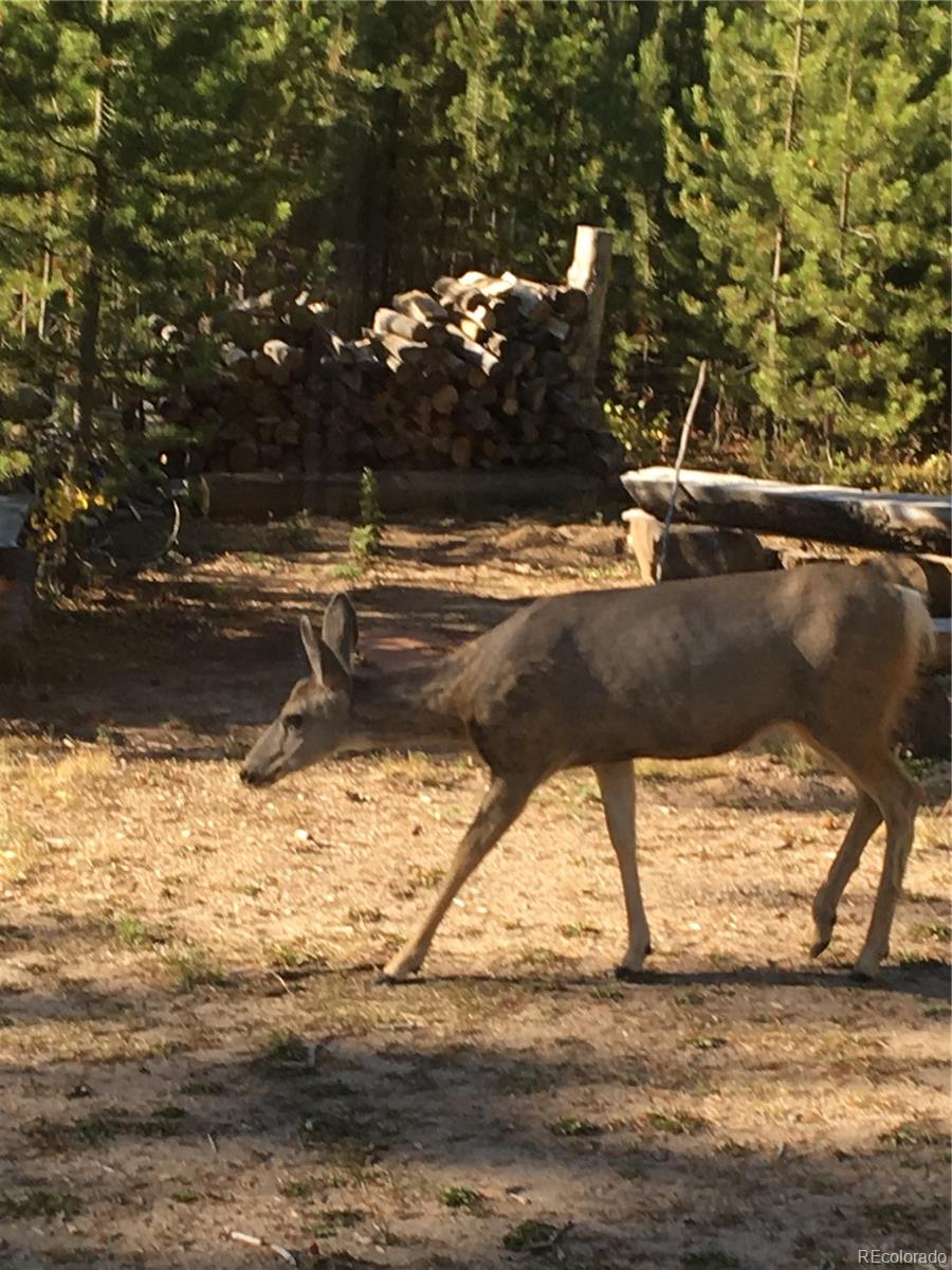 MLS Image #25 for 99  gcr 490 ,grand lake, Colorado
