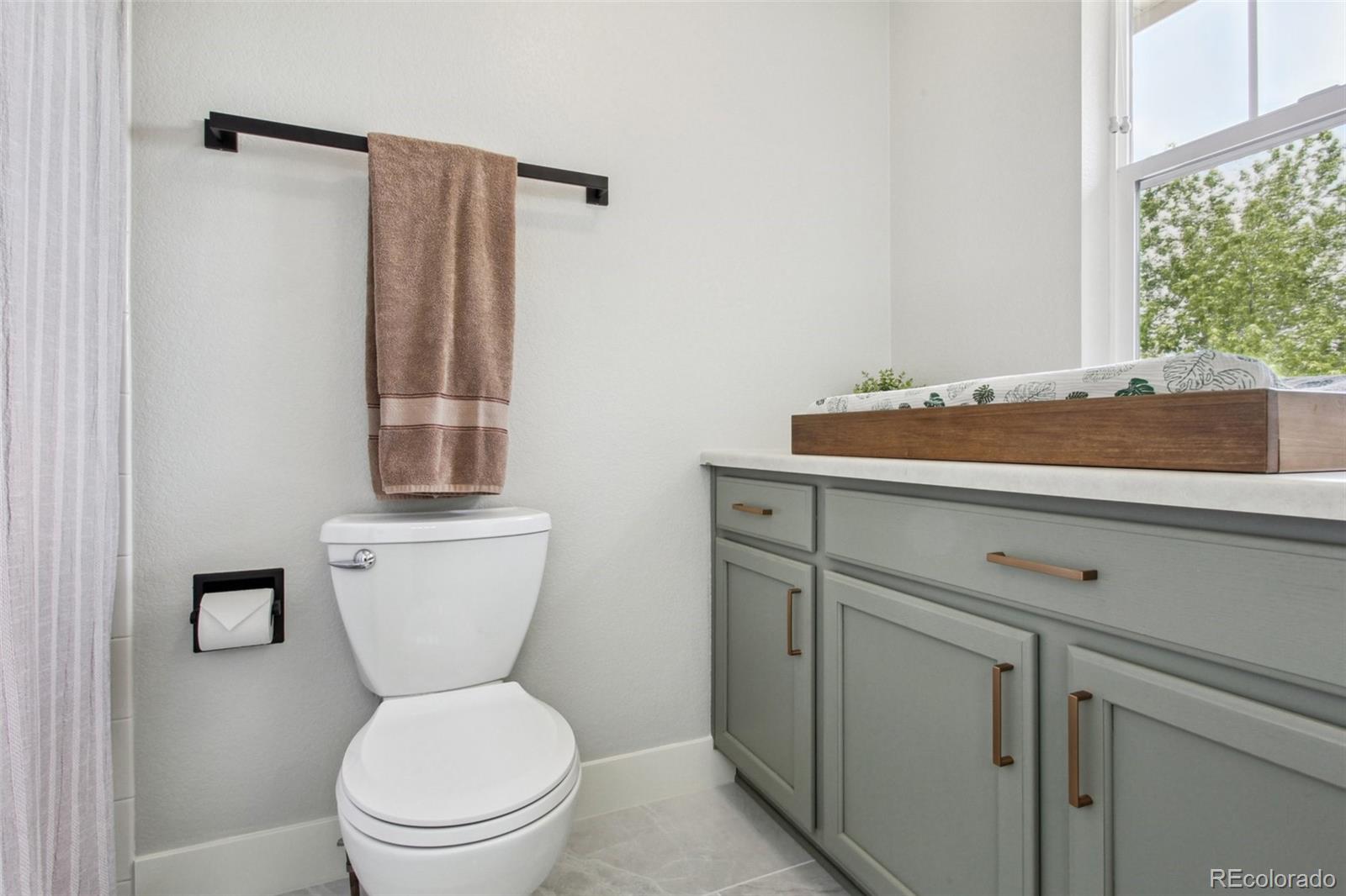 MLS Image #19 for 2934  braeburn way,highlands ranch, Colorado