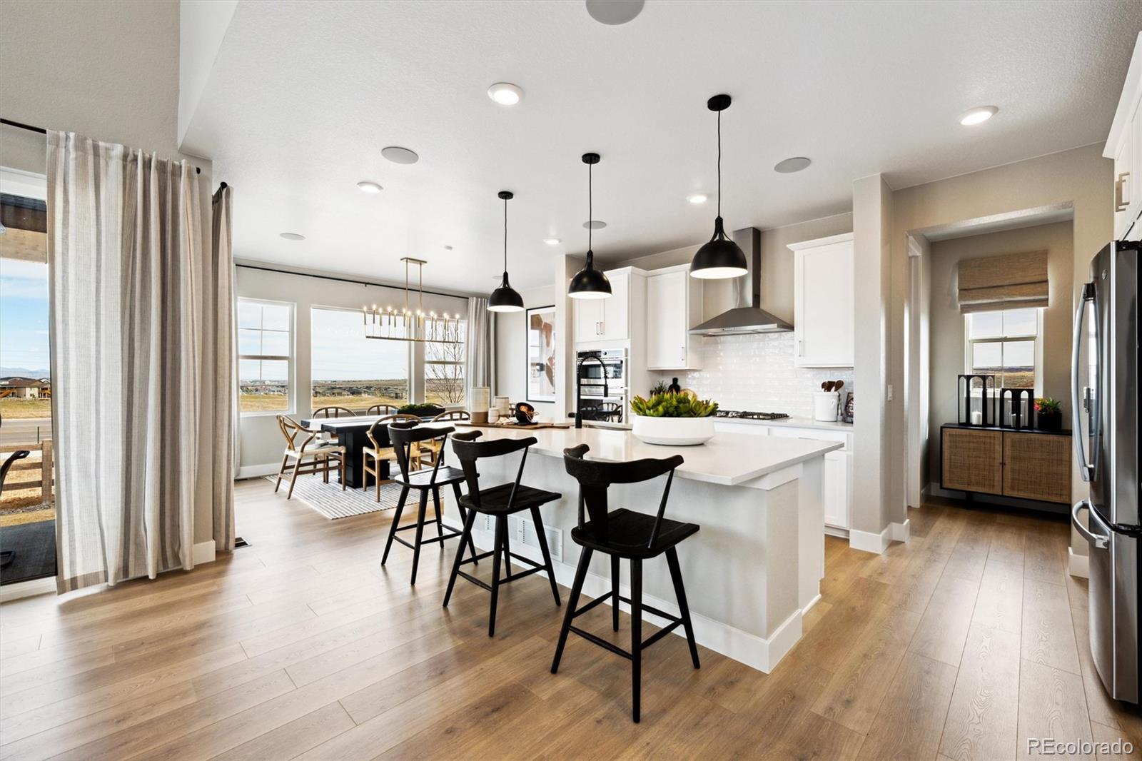 MLS Image #14 for 8836  whiteclover street,littleton, Colorado