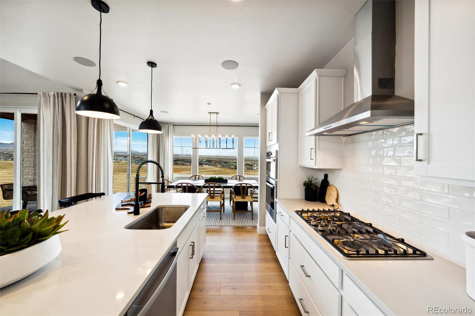 MLS Image #17 for 8836  whiteclover street,littleton, Colorado