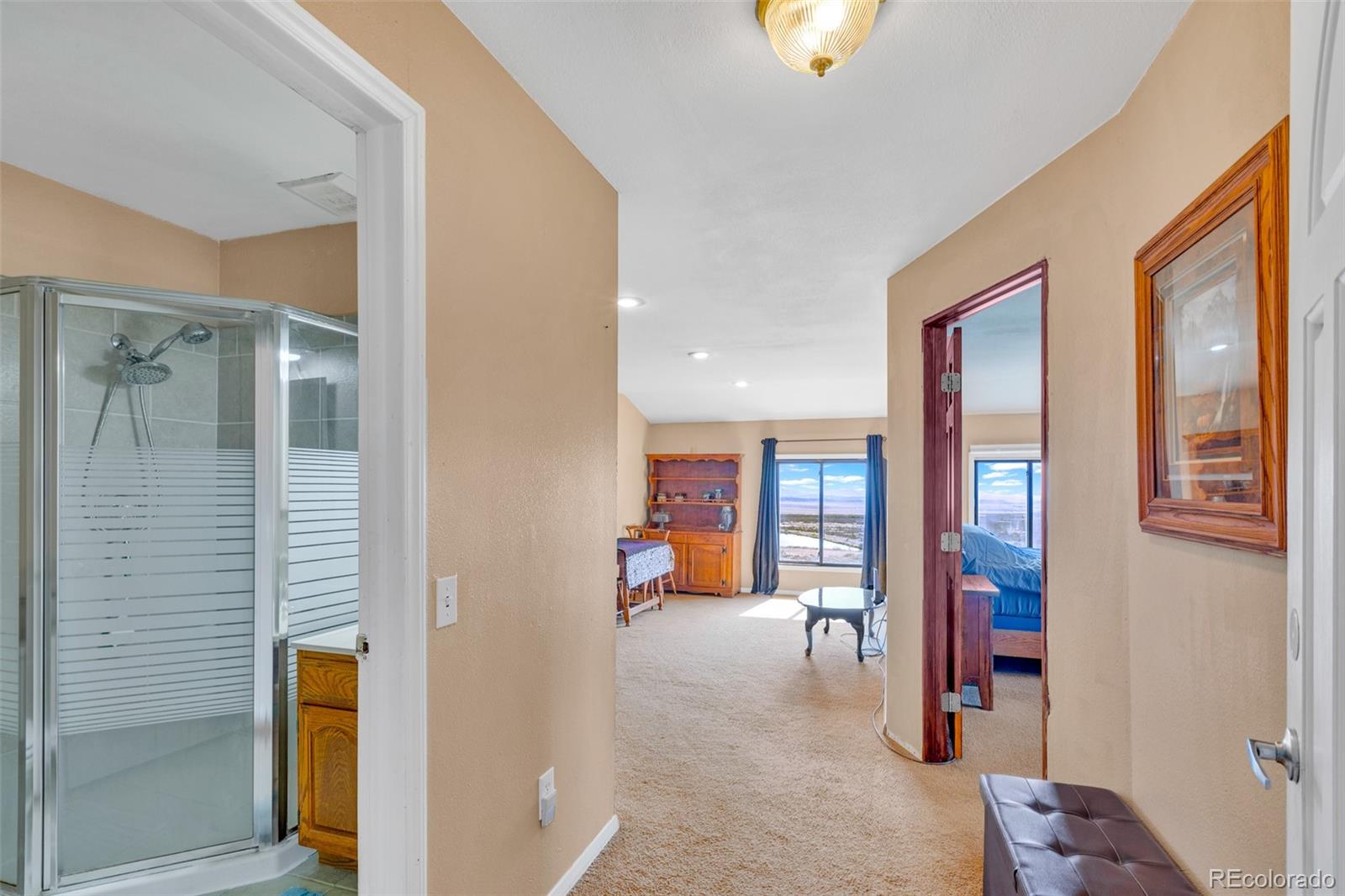 MLS Image #13 for 37  warm springs road,fairplay, Colorado