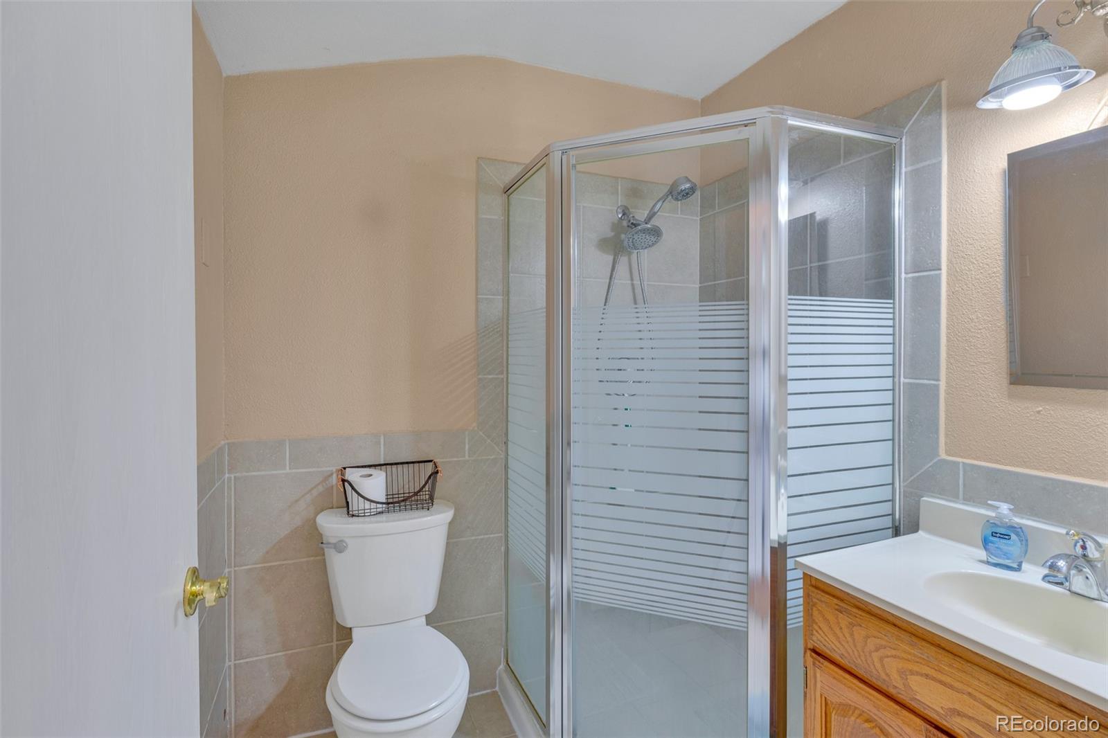 MLS Image #14 for 37  warm springs road,fairplay, Colorado