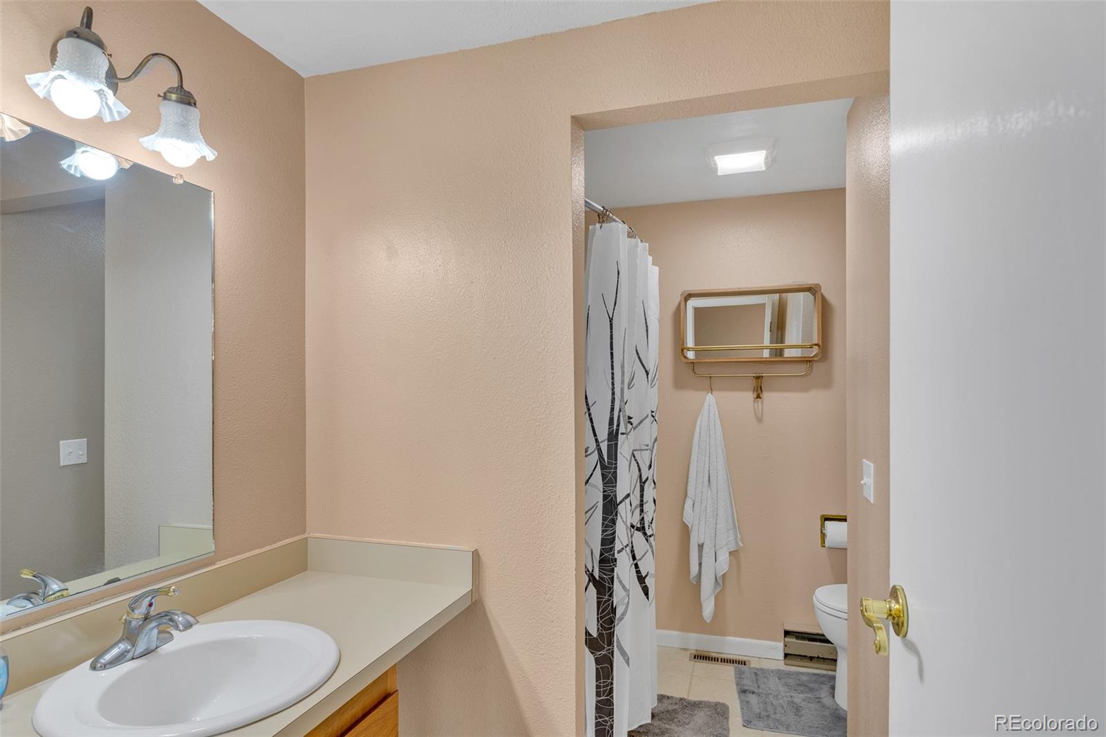 MLS Image #29 for 37  warm springs road,fairplay, Colorado