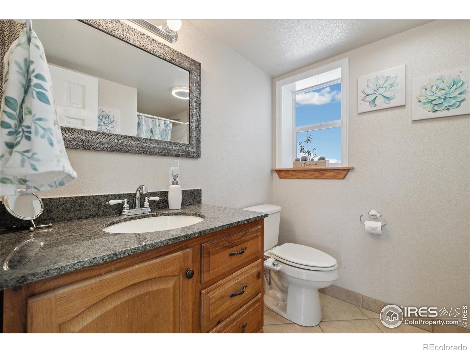MLS Image #18 for 1866  mountain view street,erie, Colorado