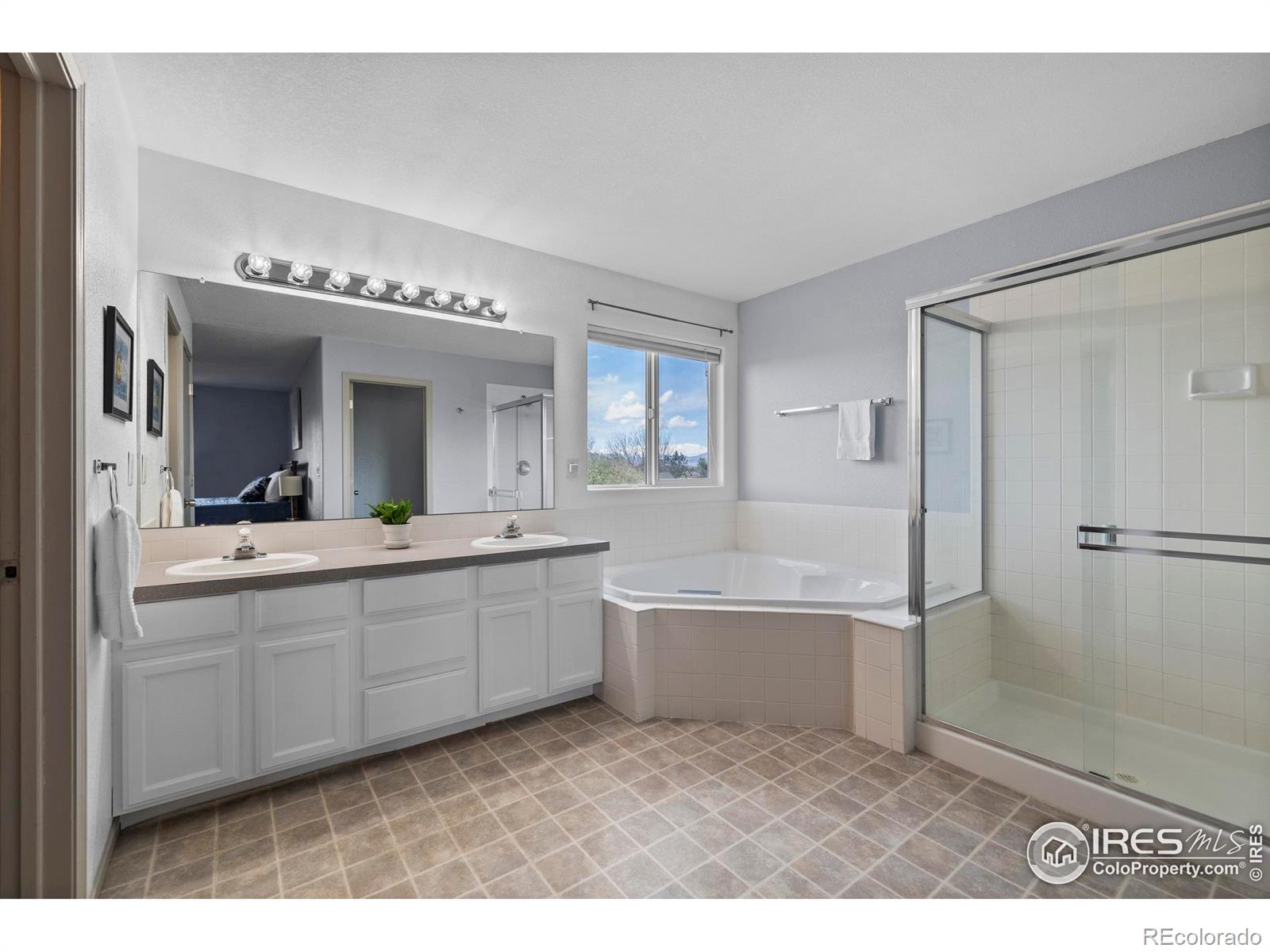 MLS Image #20 for 3211  mammoth circle,wellington, Colorado