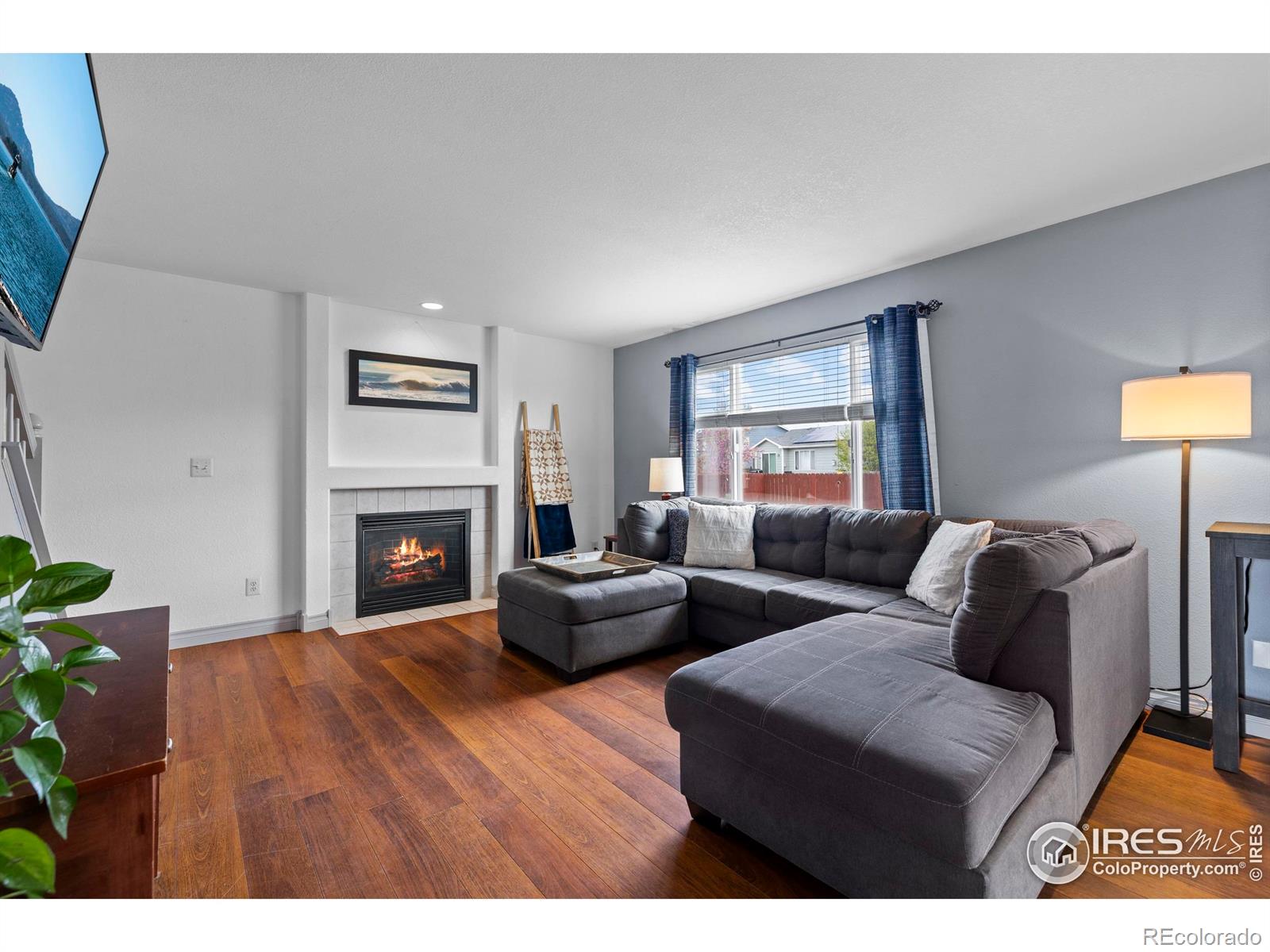 MLS Image #3 for 3211  mammoth circle,wellington, Colorado