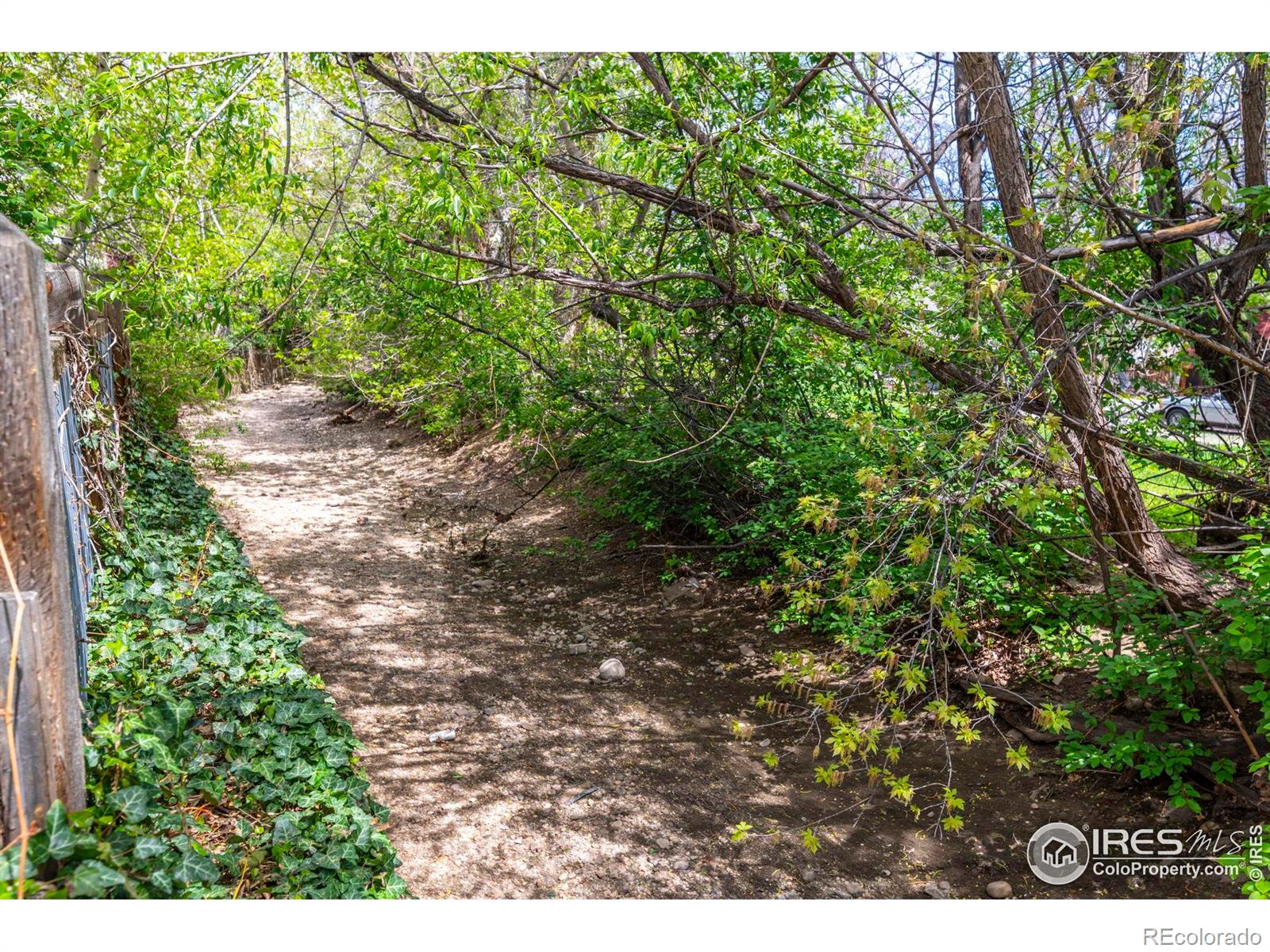 MLS Image #20 for 2050  walnut street,boulder, Colorado