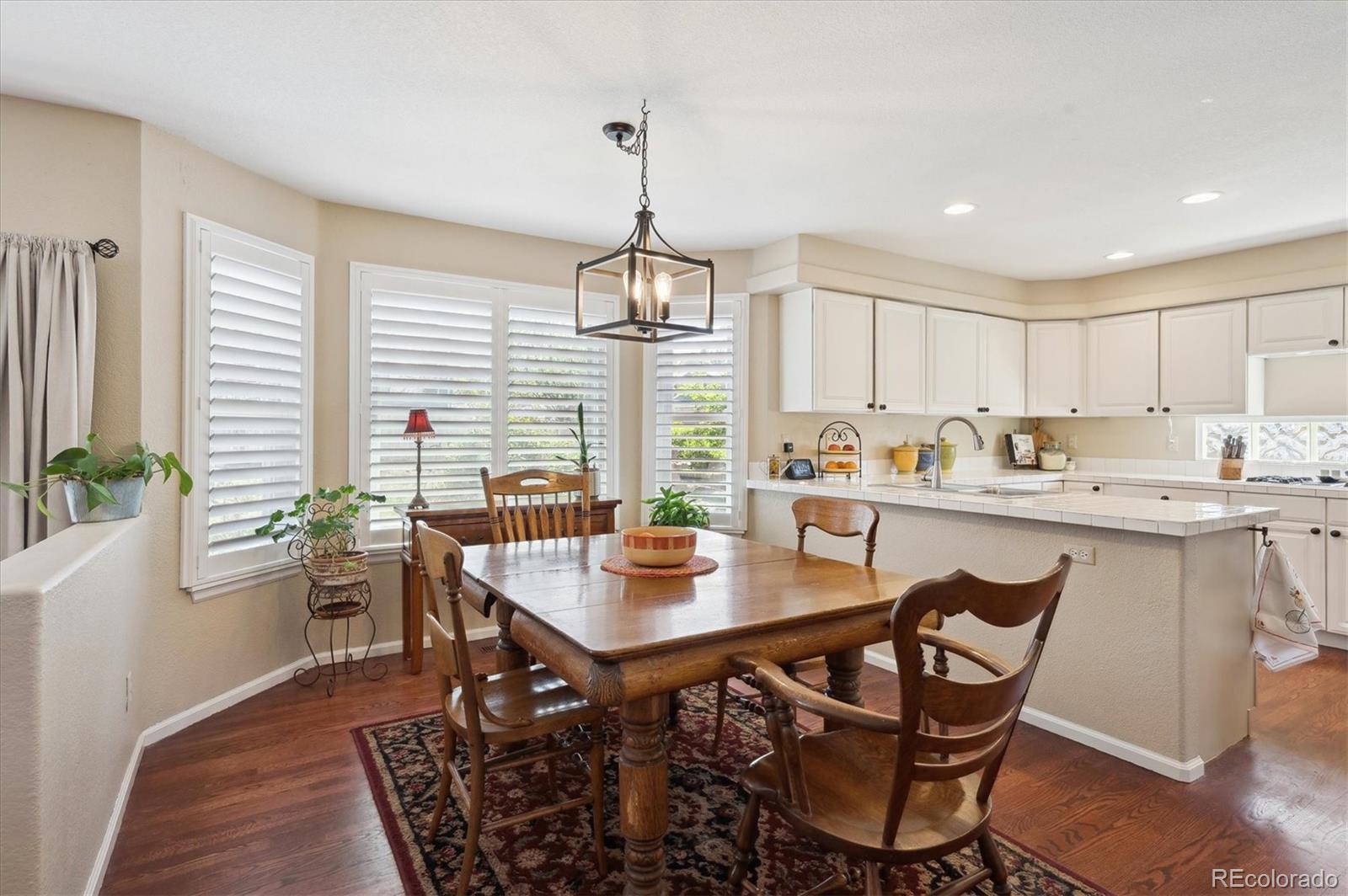 MLS Image #13 for 6502  shea place,highlands ranch, Colorado