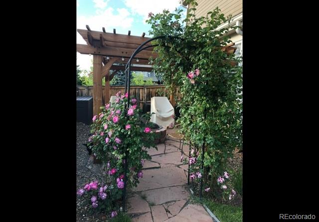 MLS Image #43 for 6502  shea place,highlands ranch, Colorado