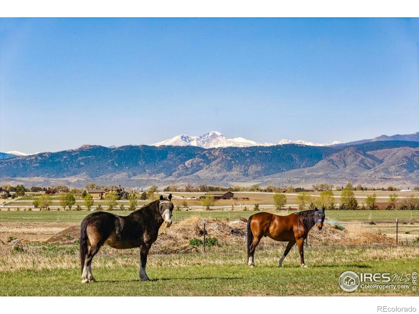 MLS Image #30 for 6897 n highway 1 ,wellington, Colorado