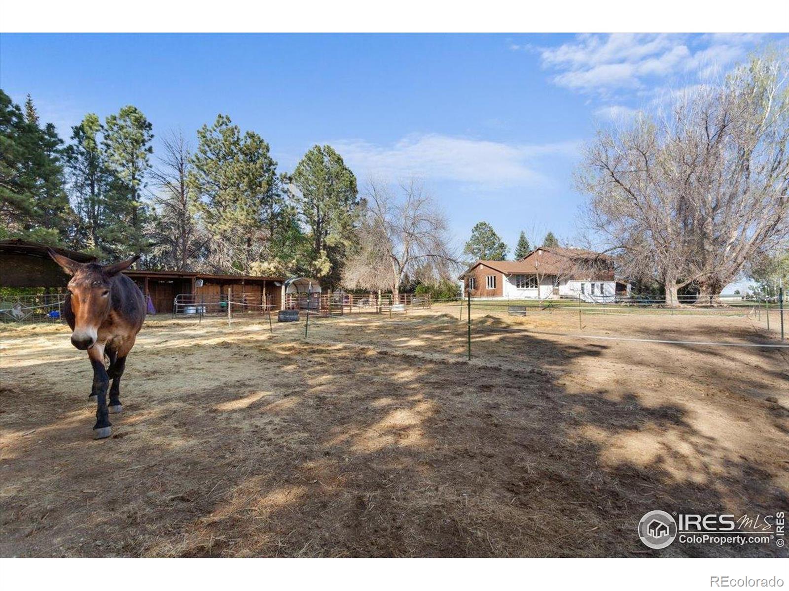 MLS Image #31 for 6897 n highway 1 ,wellington, Colorado