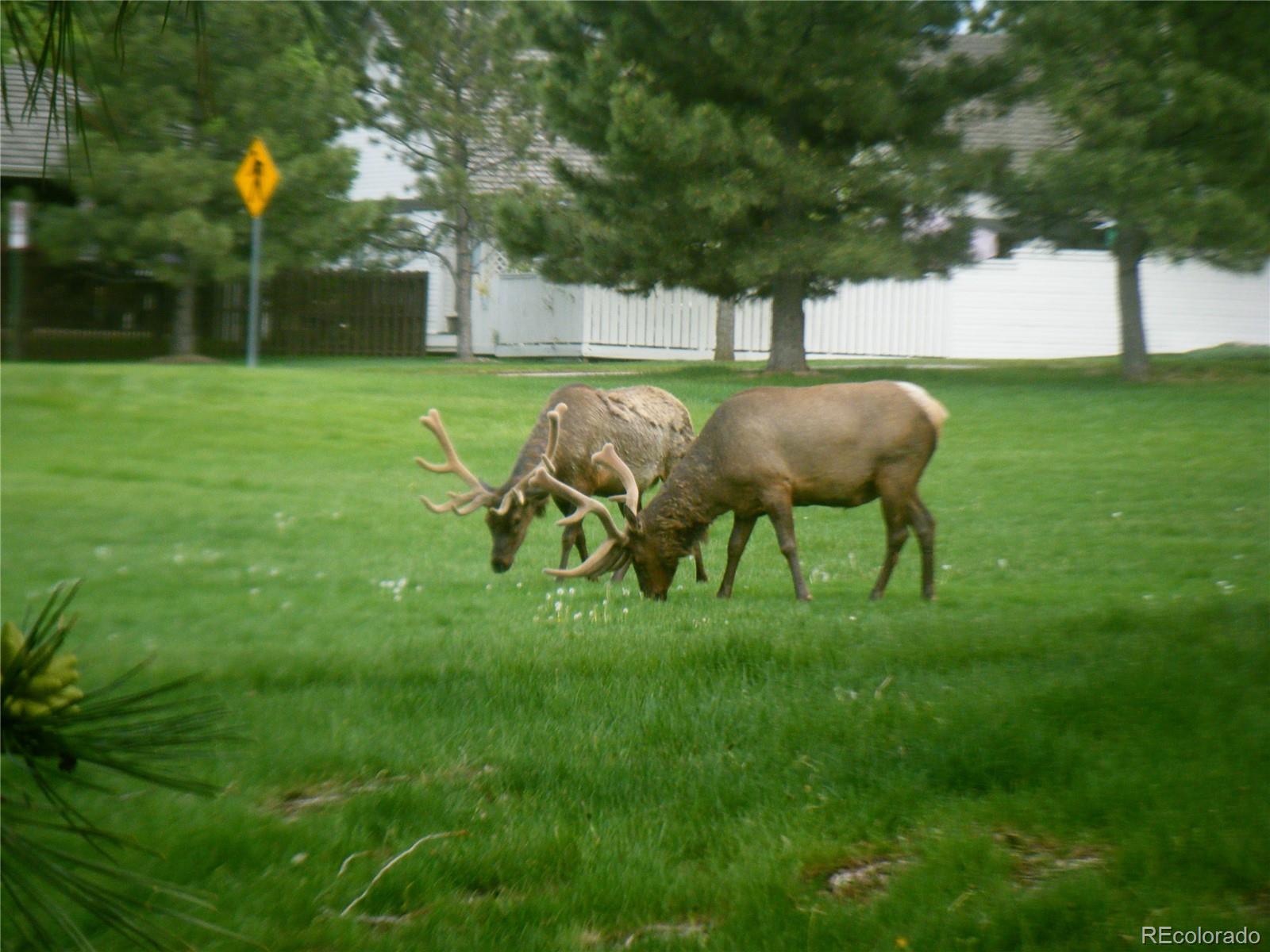 MLS Image #44 for 4  oakmont lane,littleton, Colorado