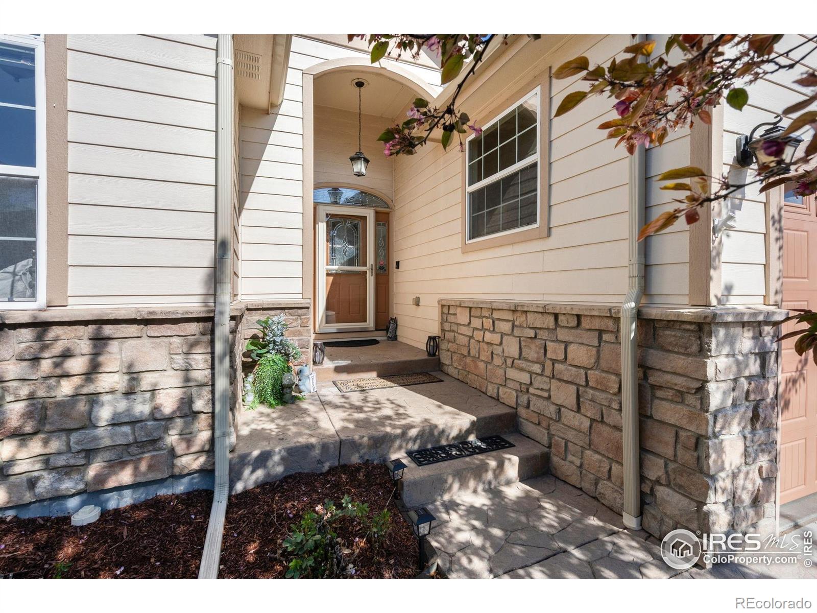 MLS Image #1 for 509  trout creek court,windsor, Colorado