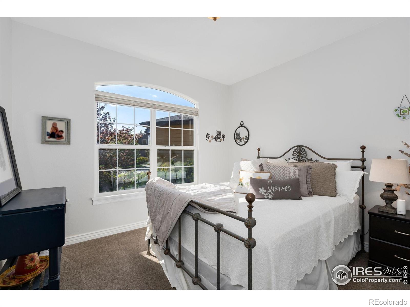 MLS Image #13 for 509  trout creek court,windsor, Colorado