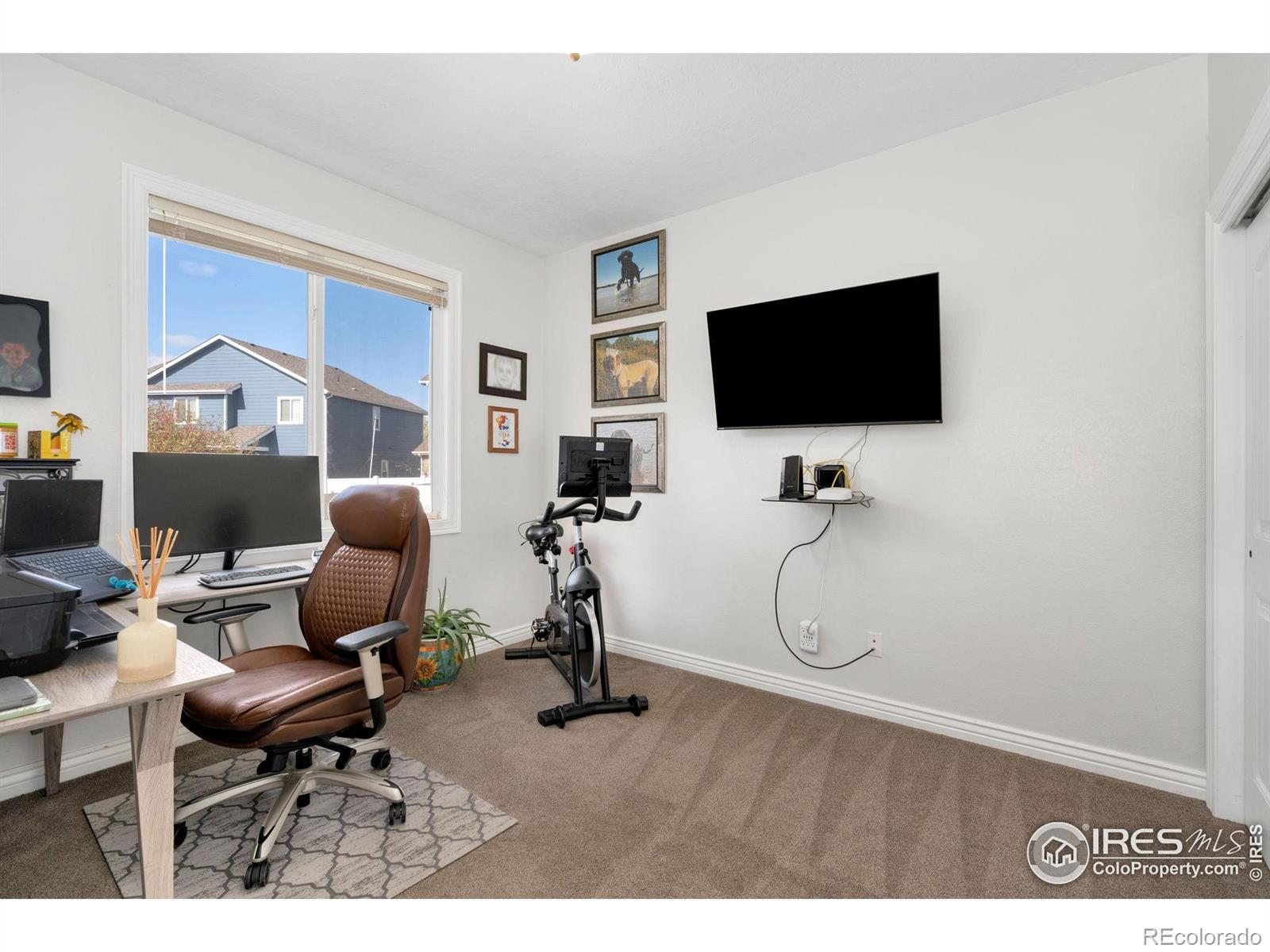 MLS Image #14 for 509  trout creek court,windsor, Colorado