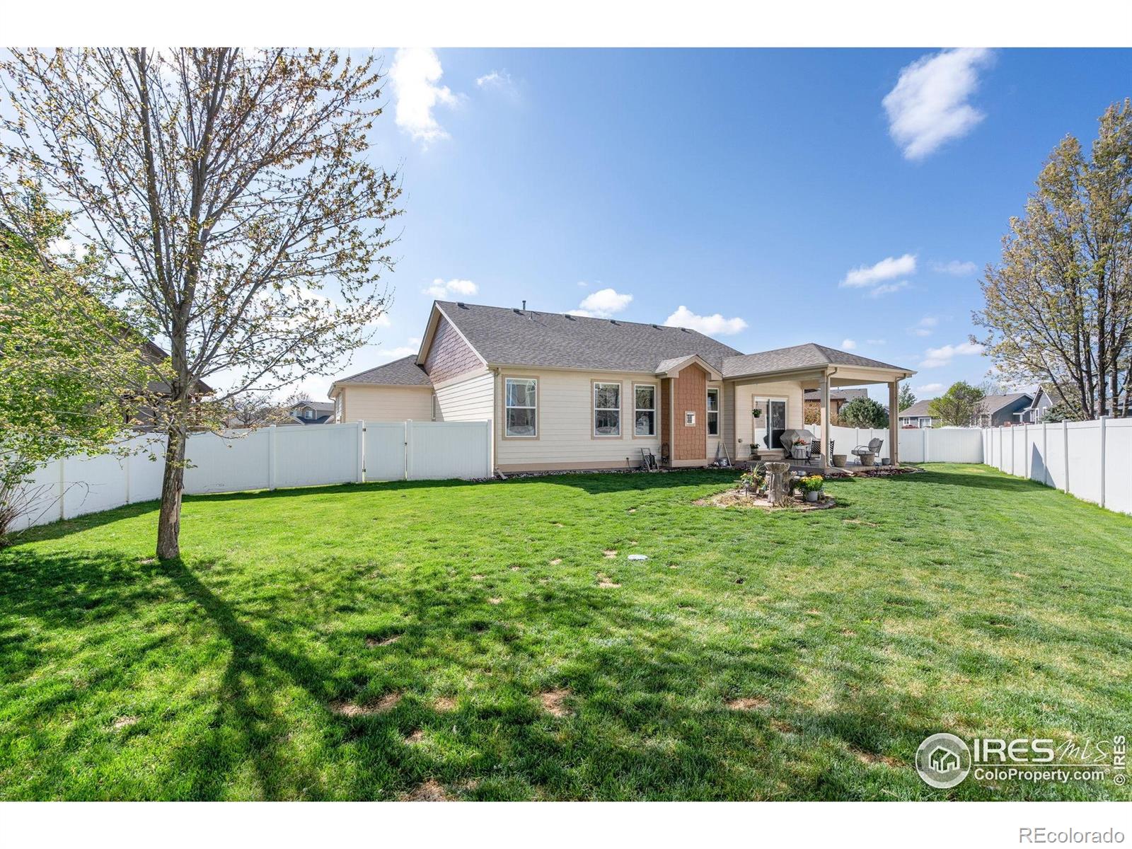 MLS Image #21 for 509  trout creek court,windsor, Colorado