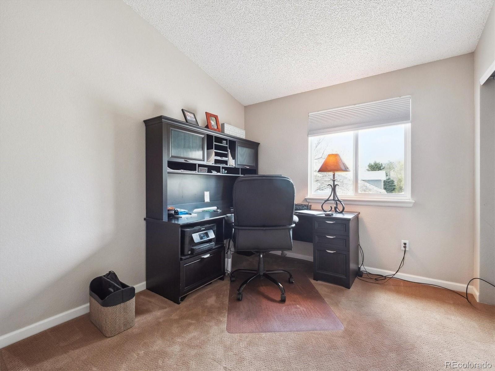 MLS Image #13 for 8766  cresthill lane,highlands ranch, Colorado