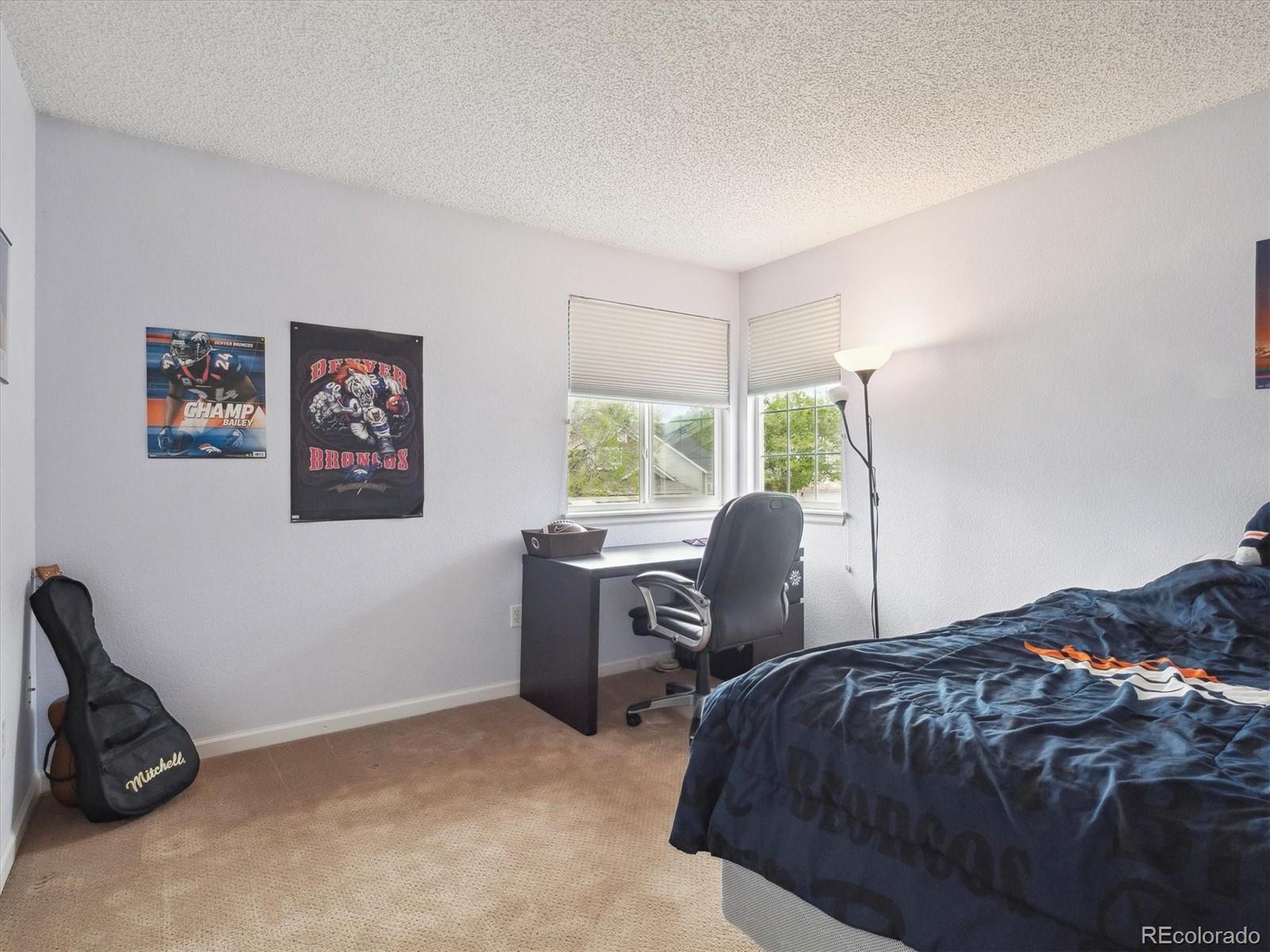 MLS Image #20 for 8766  cresthill lane,highlands ranch, Colorado