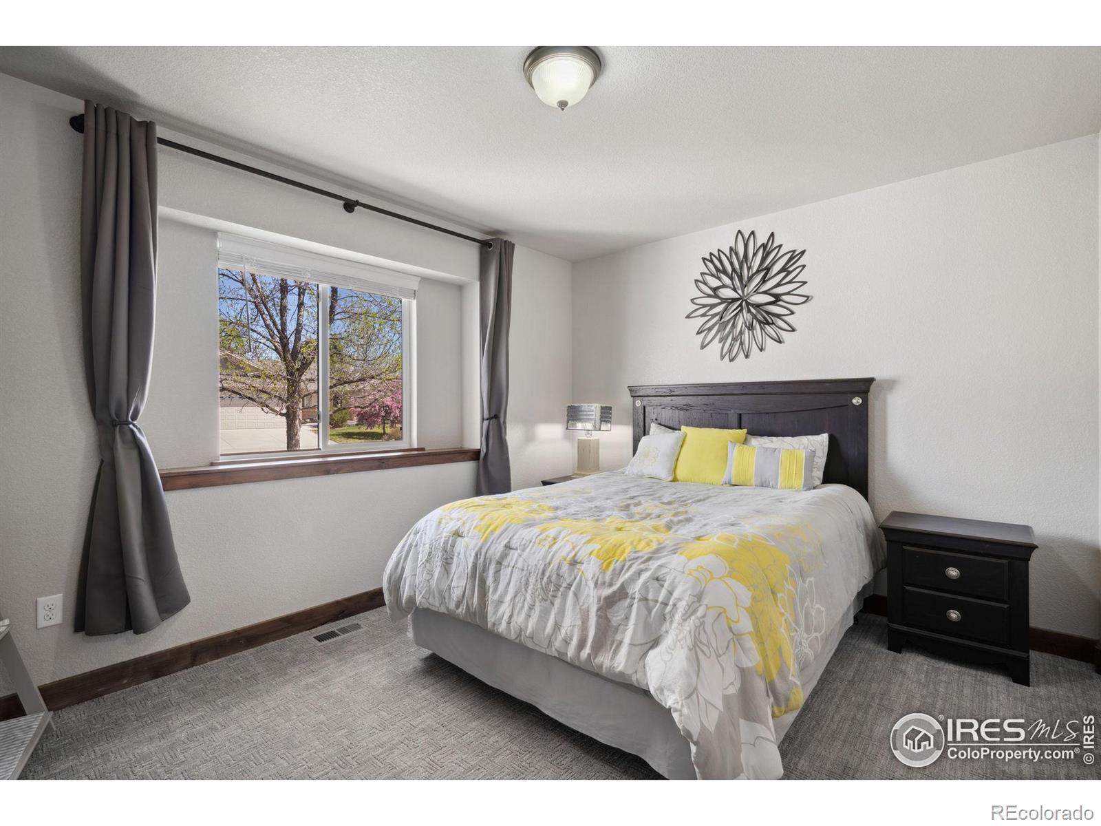 MLS Image #15 for 1576  la jara street,loveland, Colorado