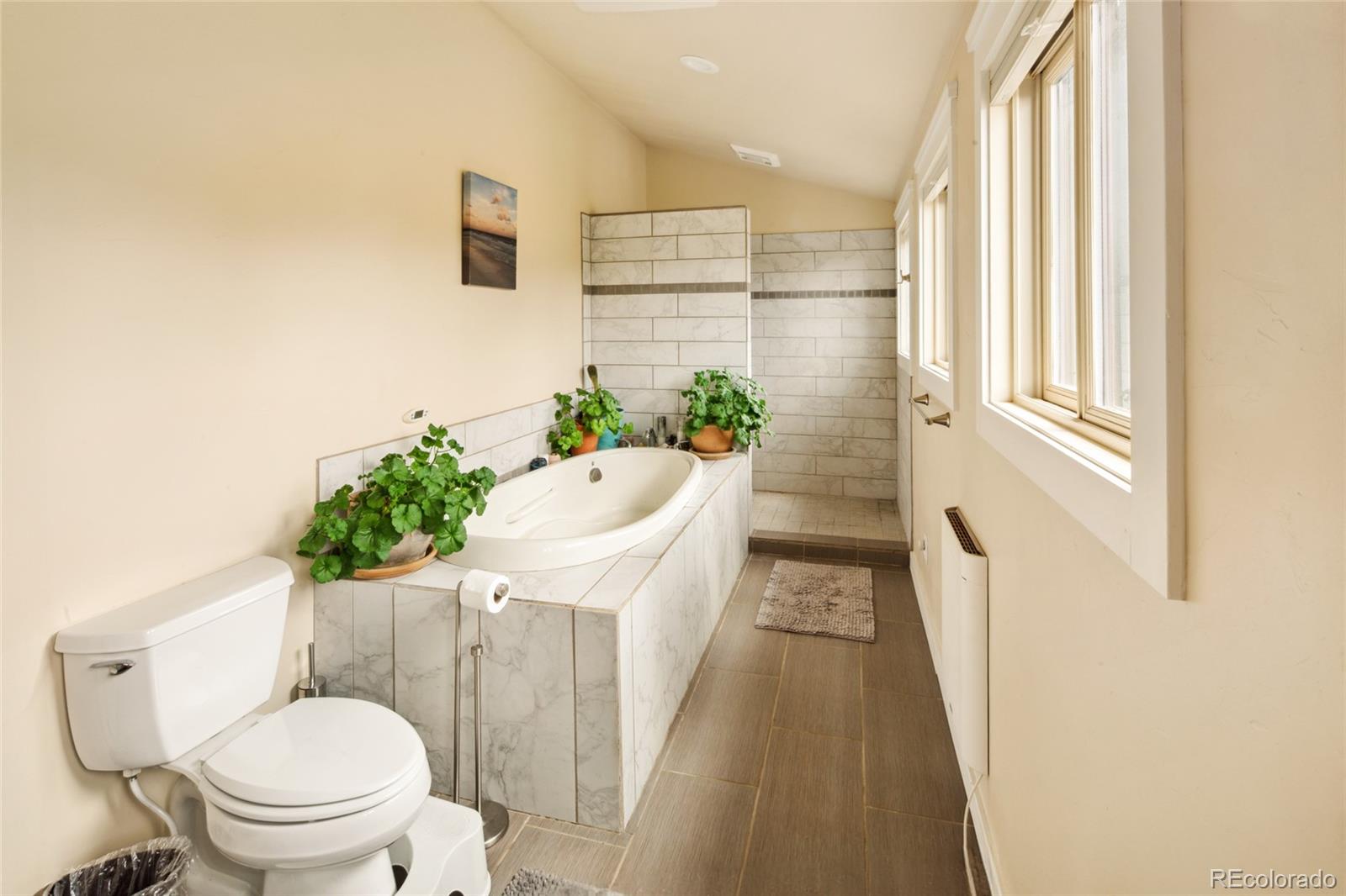 MLS Image #23 for 147  moonlight way ,crestone, Colorado