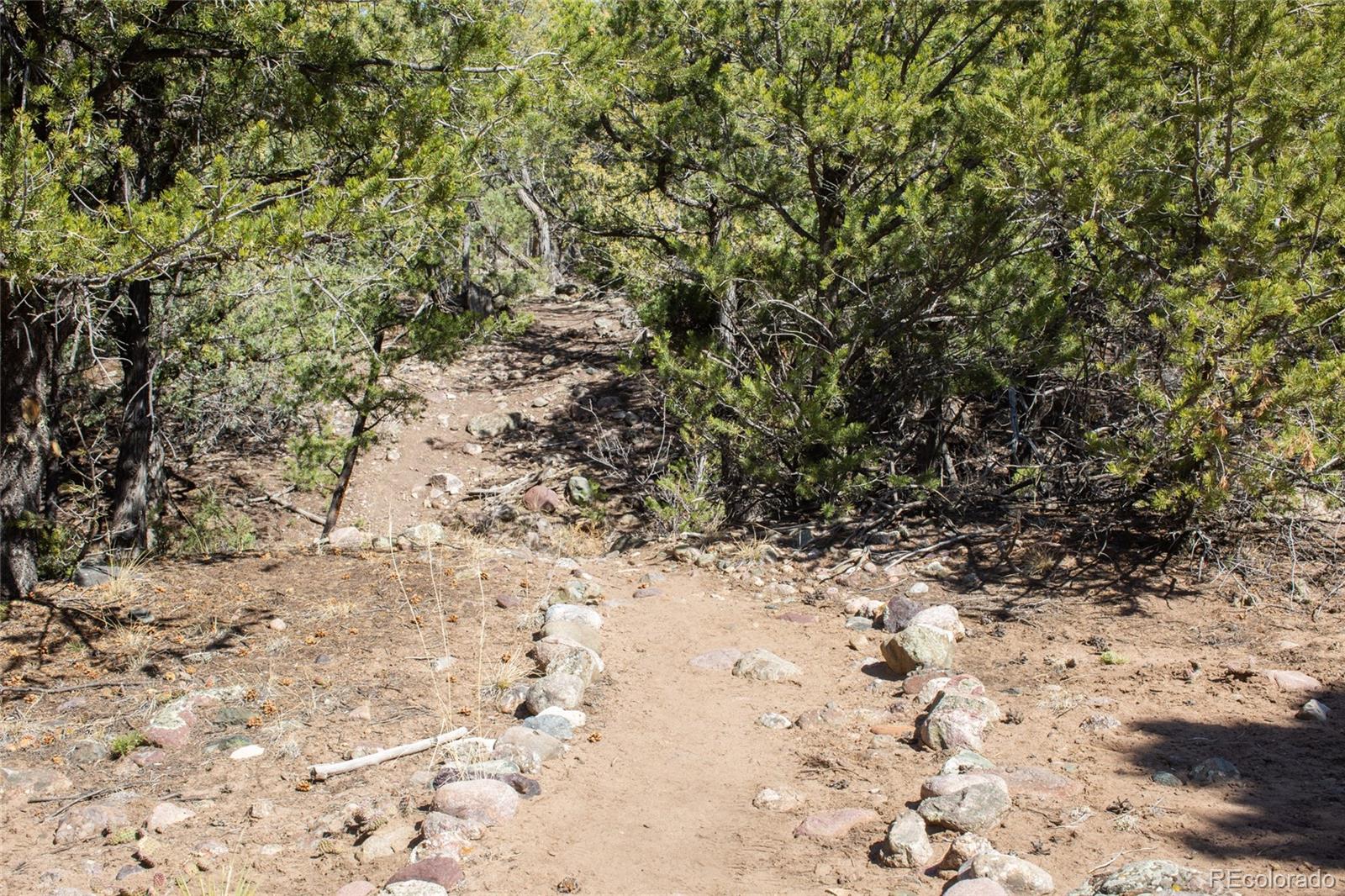 MLS Image #43 for 147  moonlight way ,crestone, Colorado