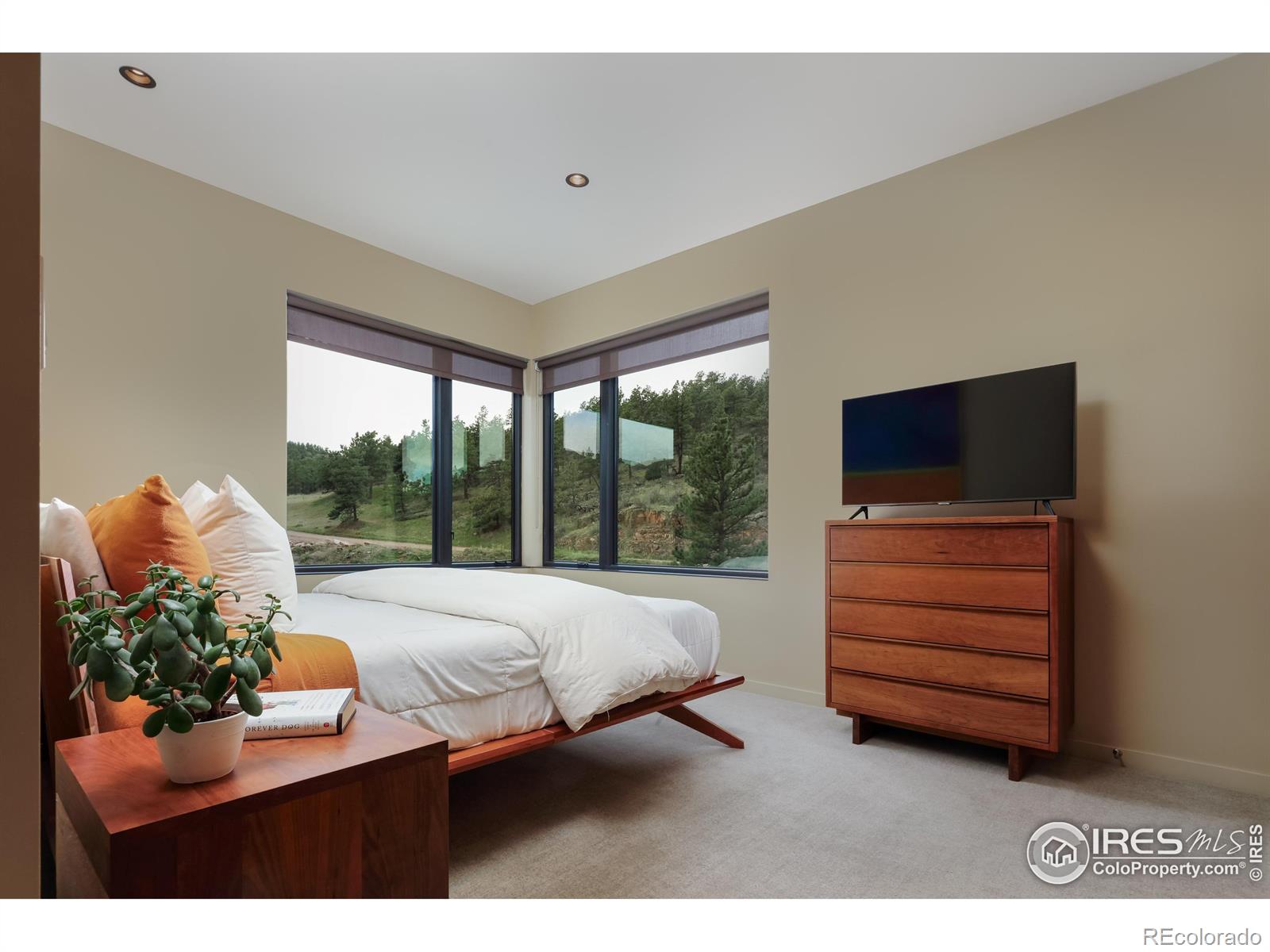 MLS Image #13 for 451  red gulch road,lyons, Colorado