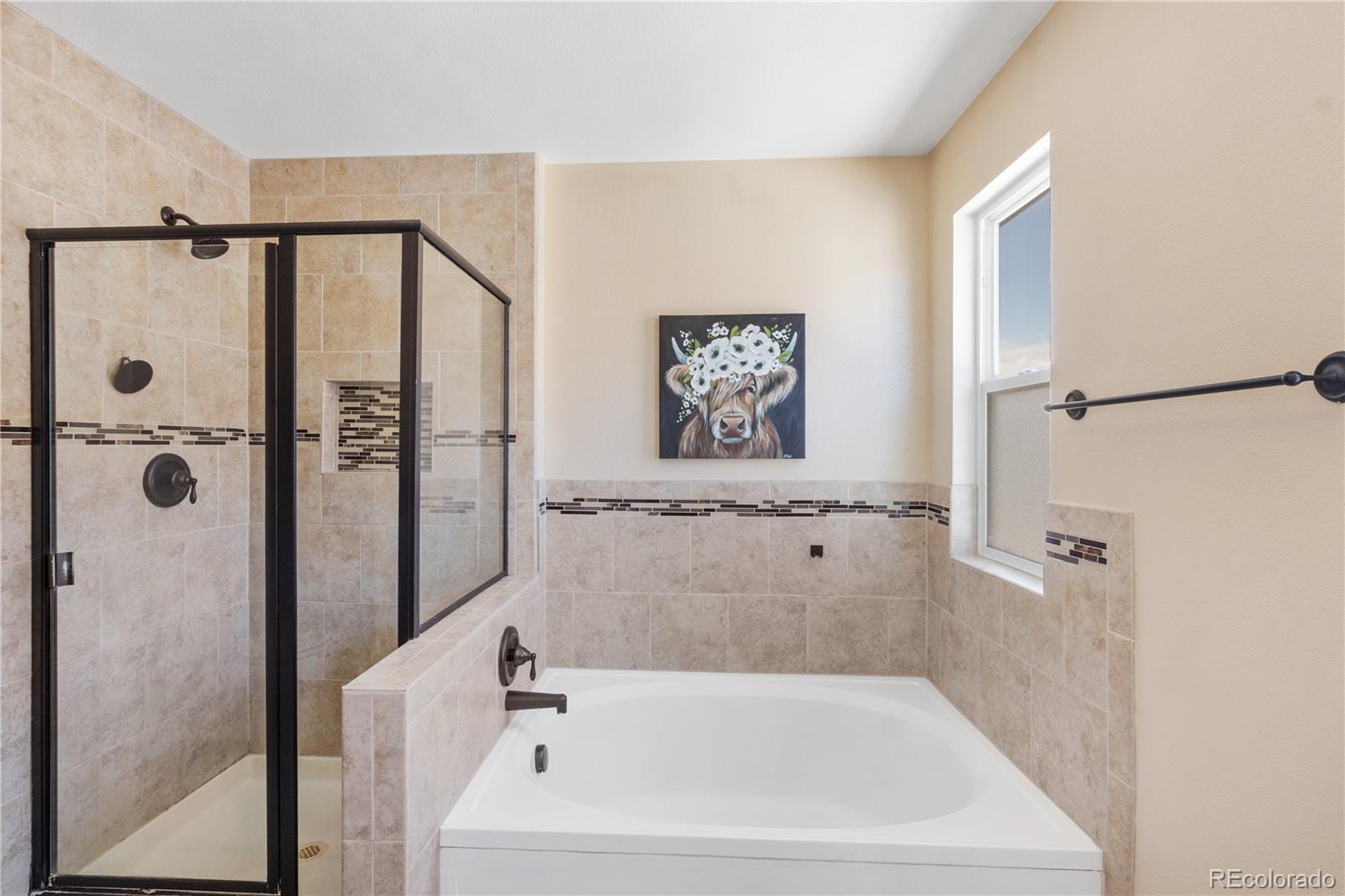 MLS Image #14 for 7330  straggler circle,colorado springs, Colorado