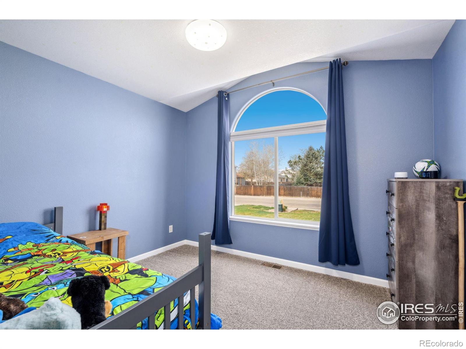 MLS Image #14 for 8596  seattle slew lane,wellington, Colorado