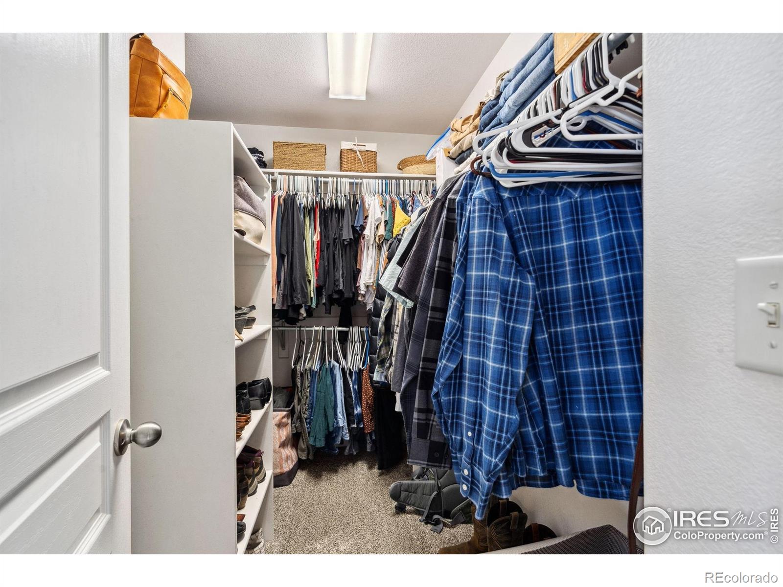 MLS Image #25 for 8596  seattle slew lane,wellington, Colorado
