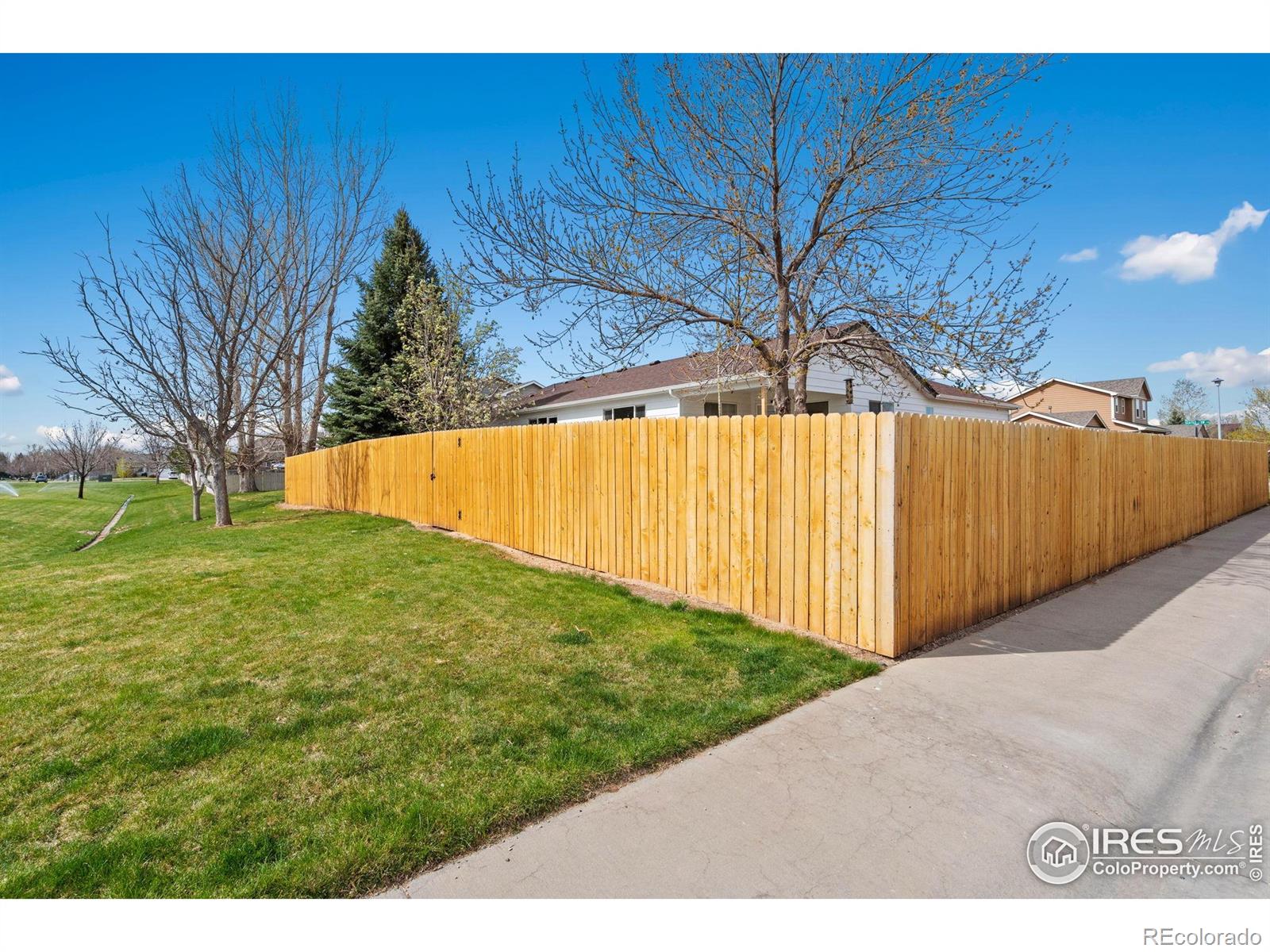 MLS Image #37 for 8596  seattle slew lane,wellington, Colorado