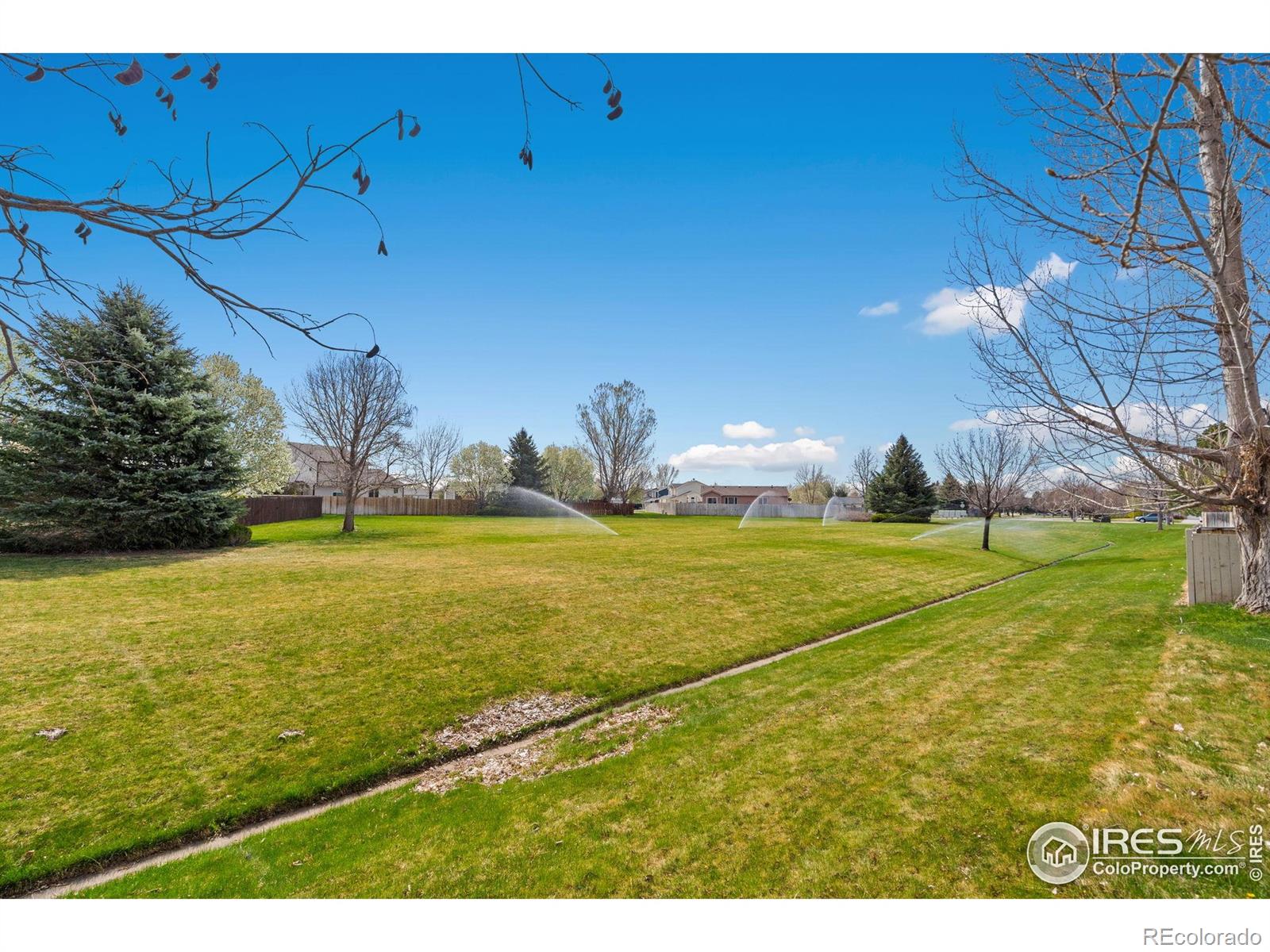 MLS Image #38 for 8596  seattle slew lane,wellington, Colorado