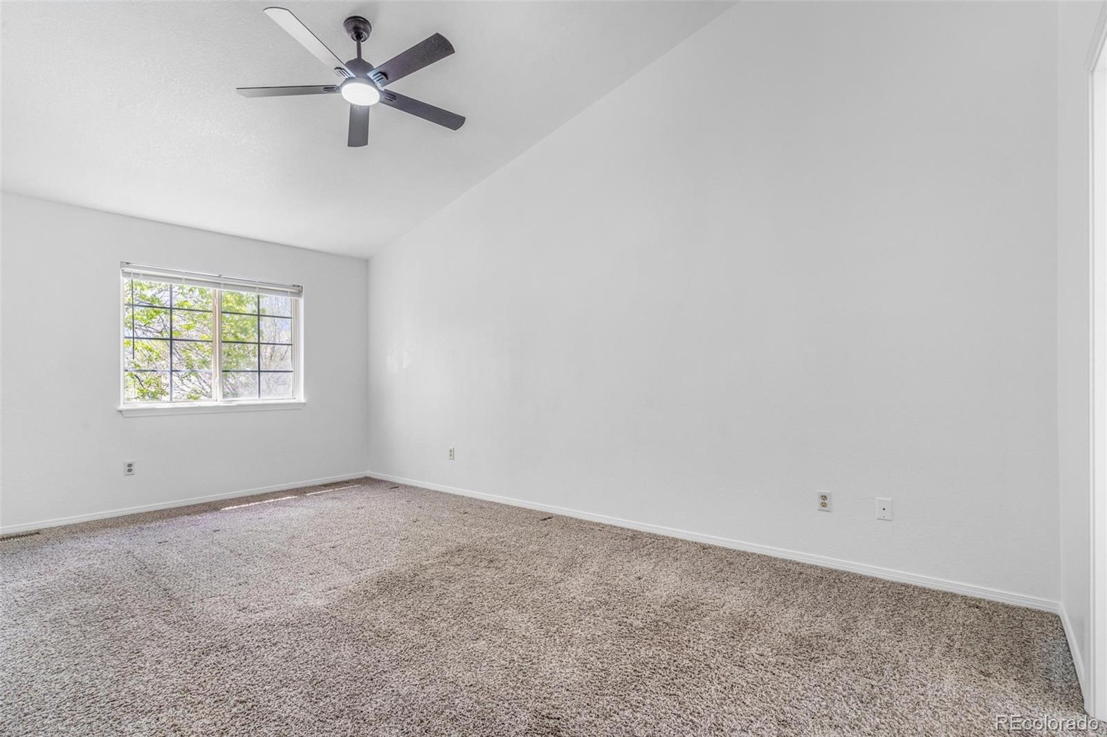 MLS Image #17 for 524  rider ridge drive,longmont, Colorado