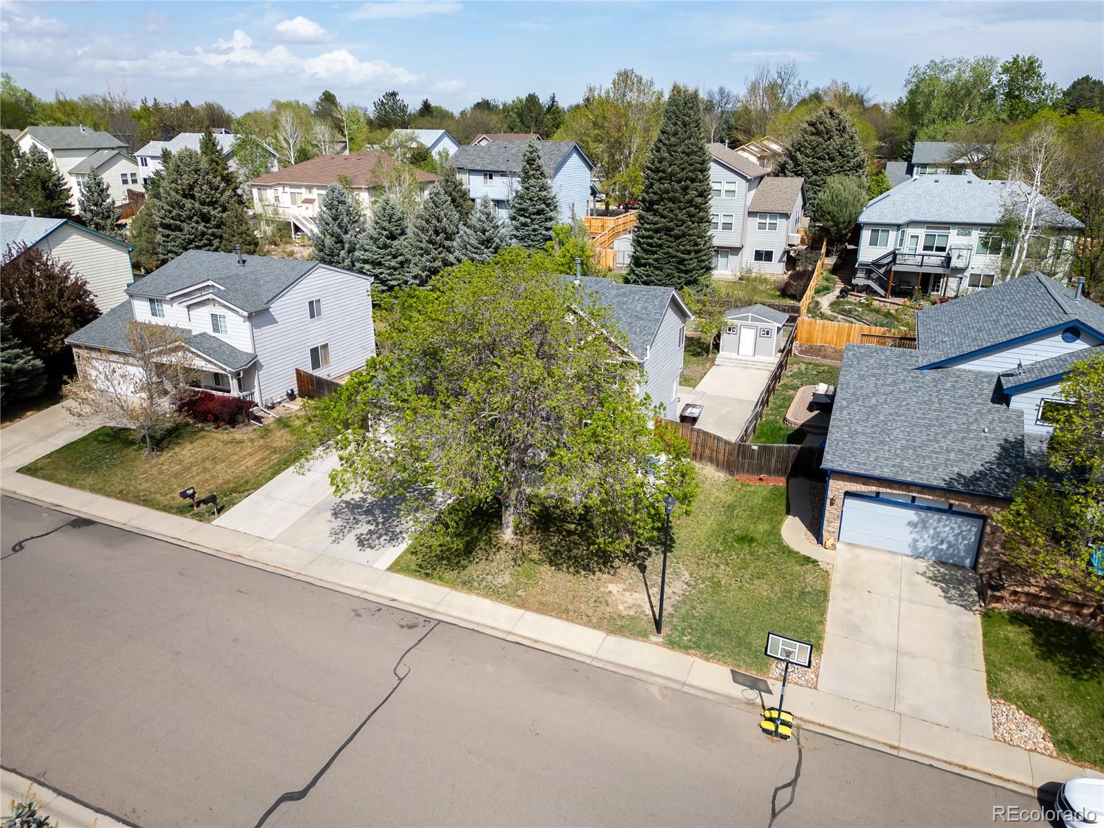 MLS Image #36 for 524  rider ridge drive,longmont, Colorado