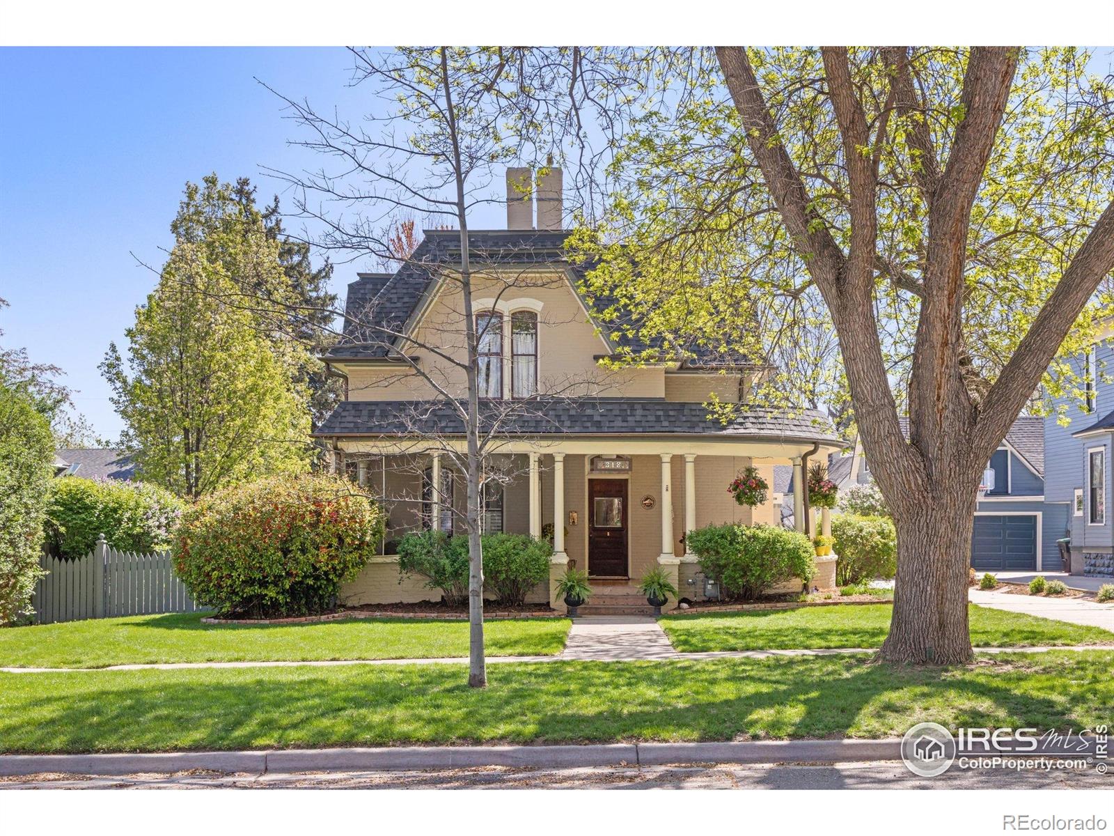 MLS Image #2 for 318  pratt street,longmont, Colorado