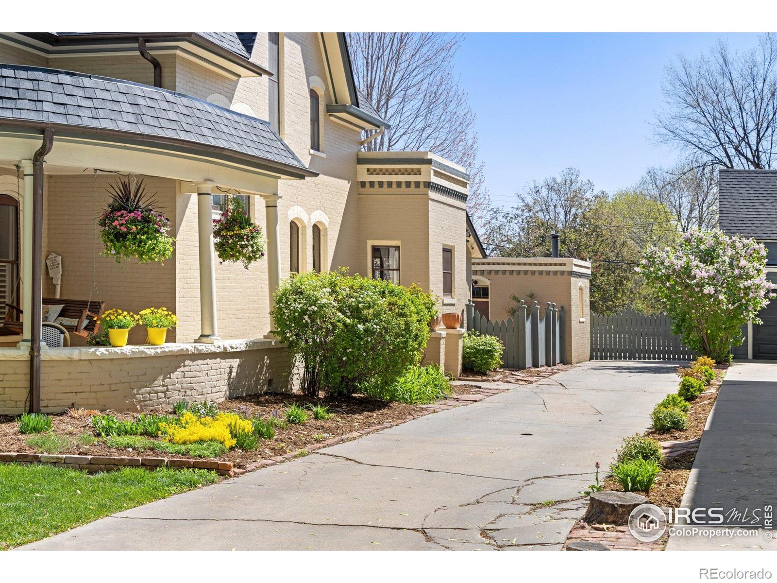 MLS Image #5 for 318  pratt street,longmont, Colorado