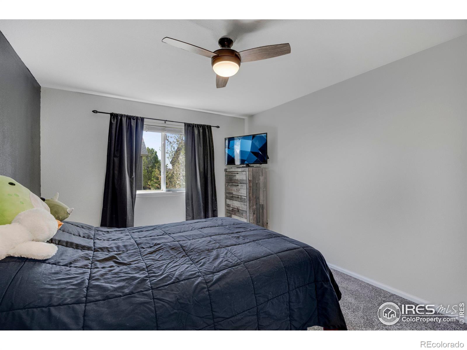 MLS Image #26 for 5822  shenandoah avenue,firestone, Colorado