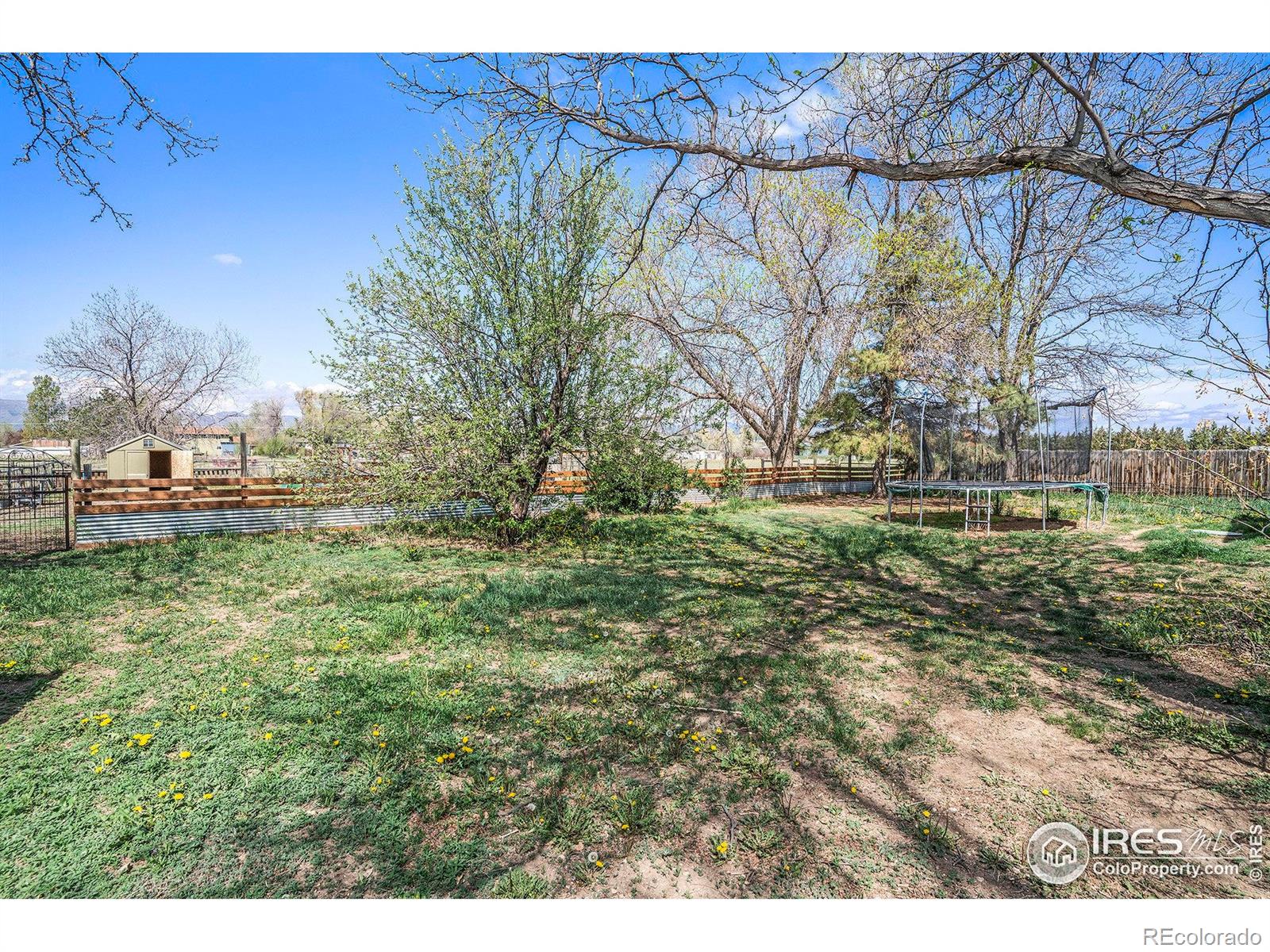 MLS Image #29 for 3915 n county road 19 ,fort collins, Colorado