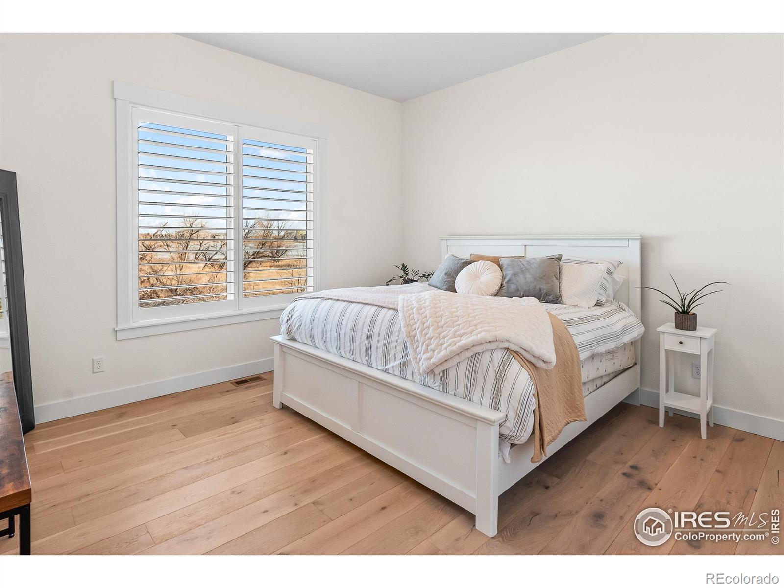 MLS Image #20 for 2674  bluestem willow court,loveland, Colorado