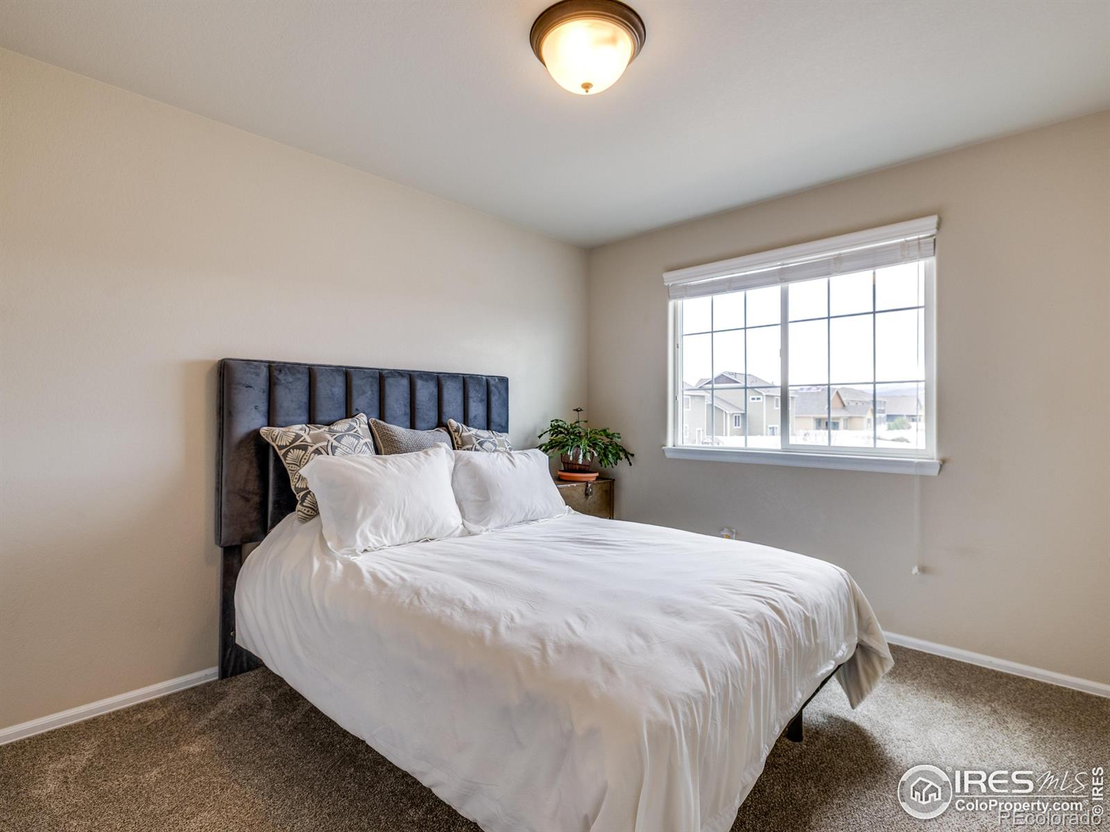 MLS Image #20 for 3338  auklet drive,berthoud, Colorado