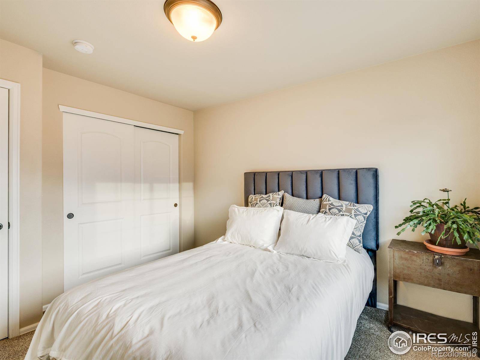 MLS Image #21 for 3338  auklet drive,berthoud, Colorado