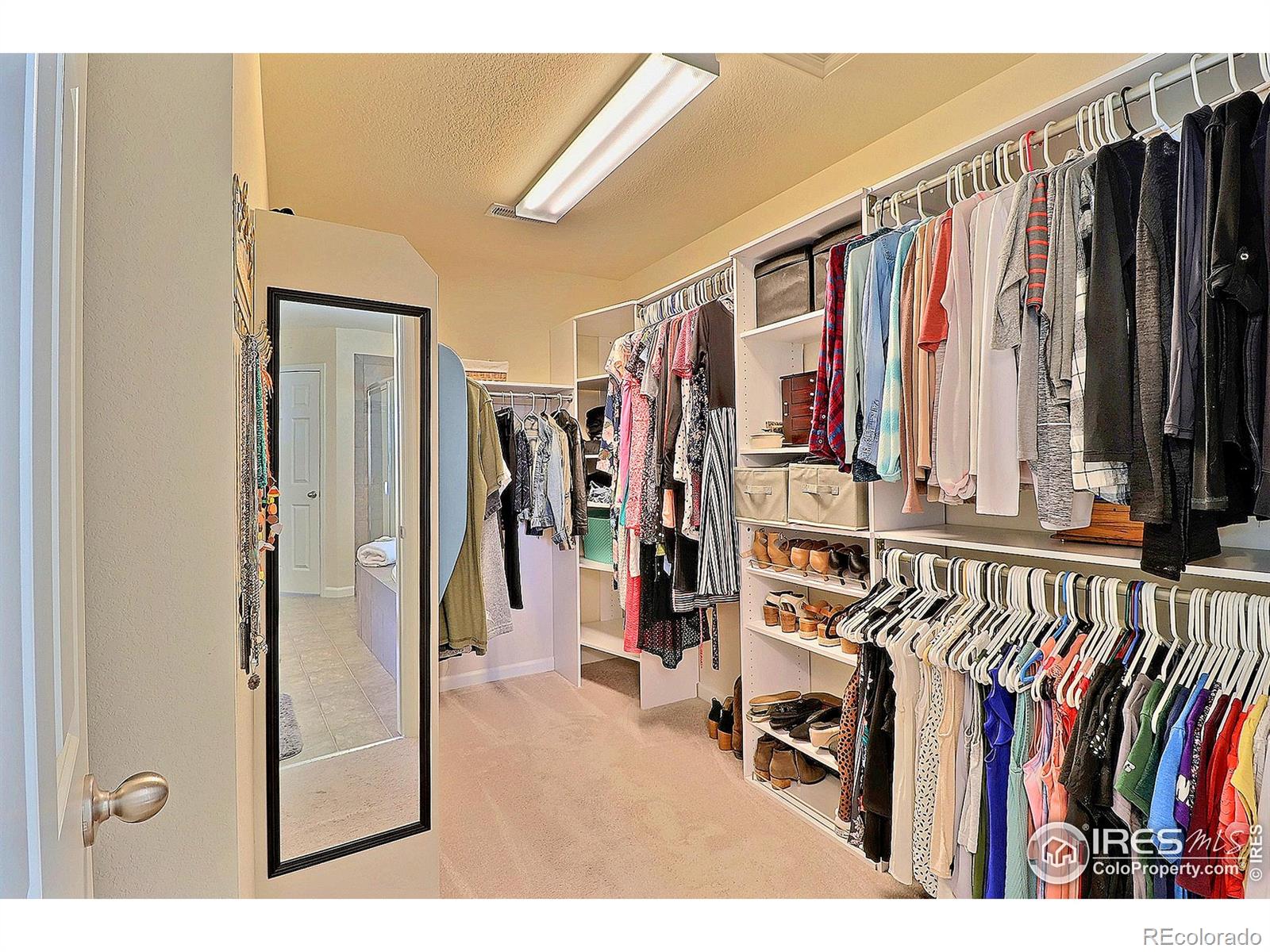 MLS Image #23 for 2927  percheron drive,fort collins, Colorado