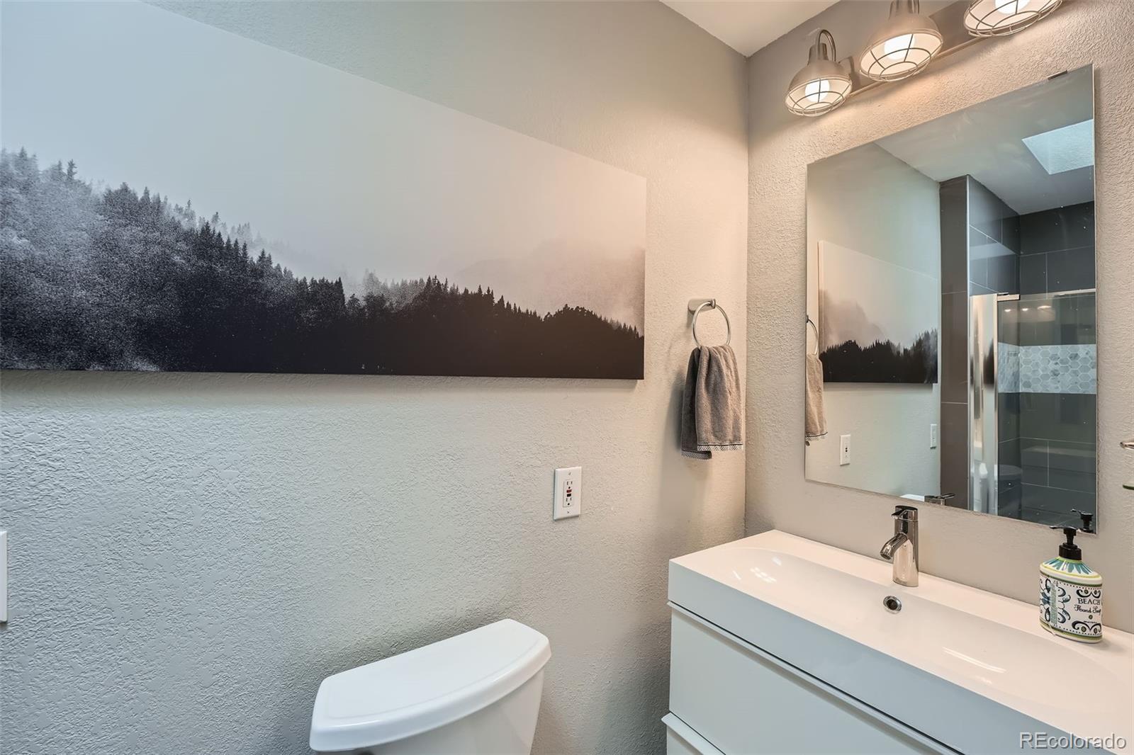 MLS Image #11 for 1025  zang street,golden, Colorado