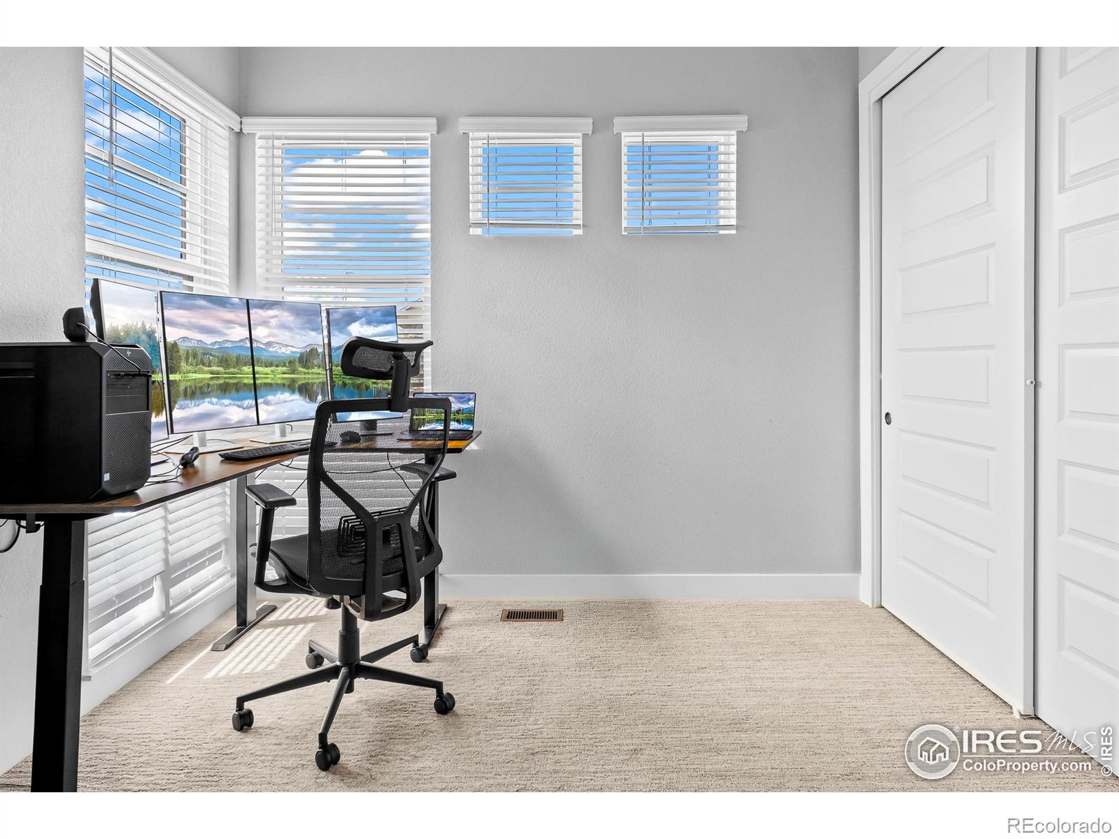 MLS Image #27 for 1869  blossom grove drive,windsor, Colorado