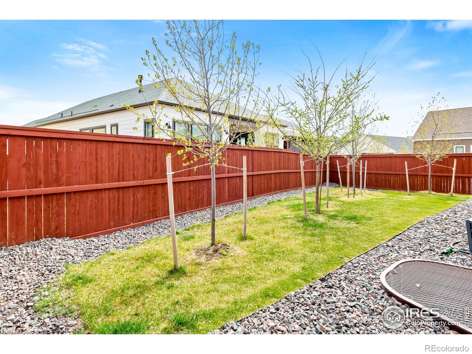 MLS Image #35 for 1869  blossom grove drive,windsor, Colorado