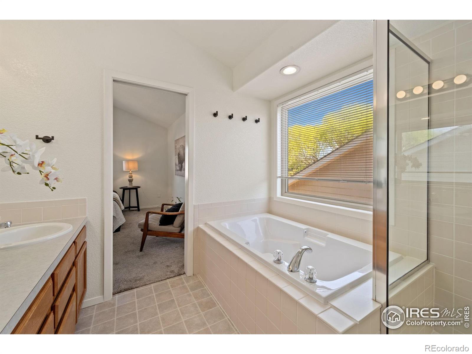 MLS Image #19 for 1532  corydalis court,fort collins, Colorado