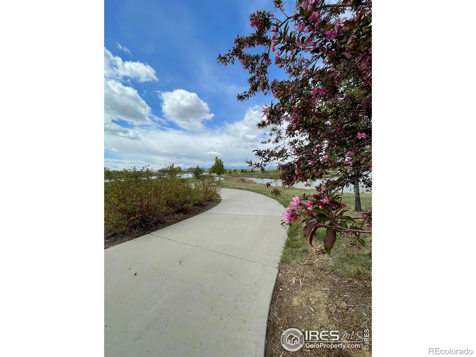 MLS Image #28 for 4672  clear creek drive,longmont, Colorado