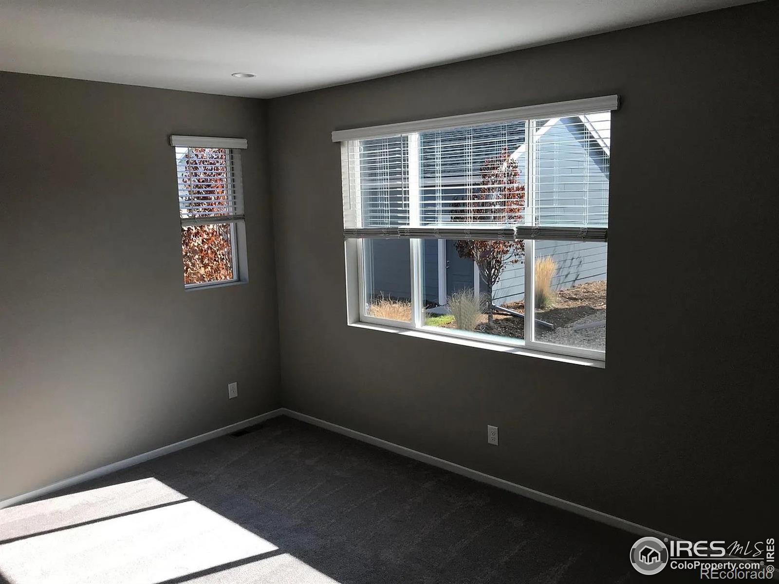 MLS Image #7 for 4672  clear creek drive,longmont, Colorado