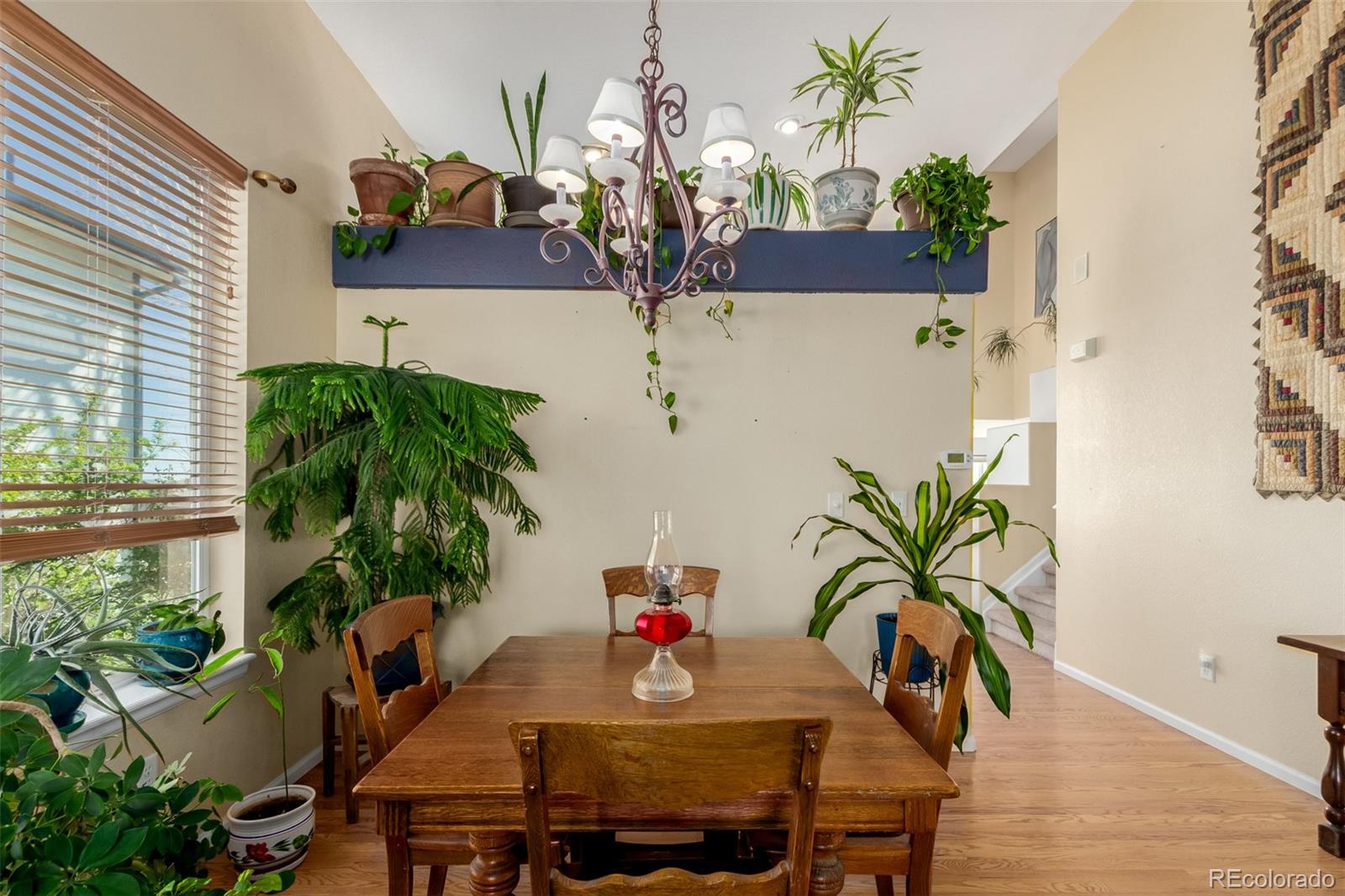 MLS Image #5 for 10554  atwood circle,littleton, Colorado